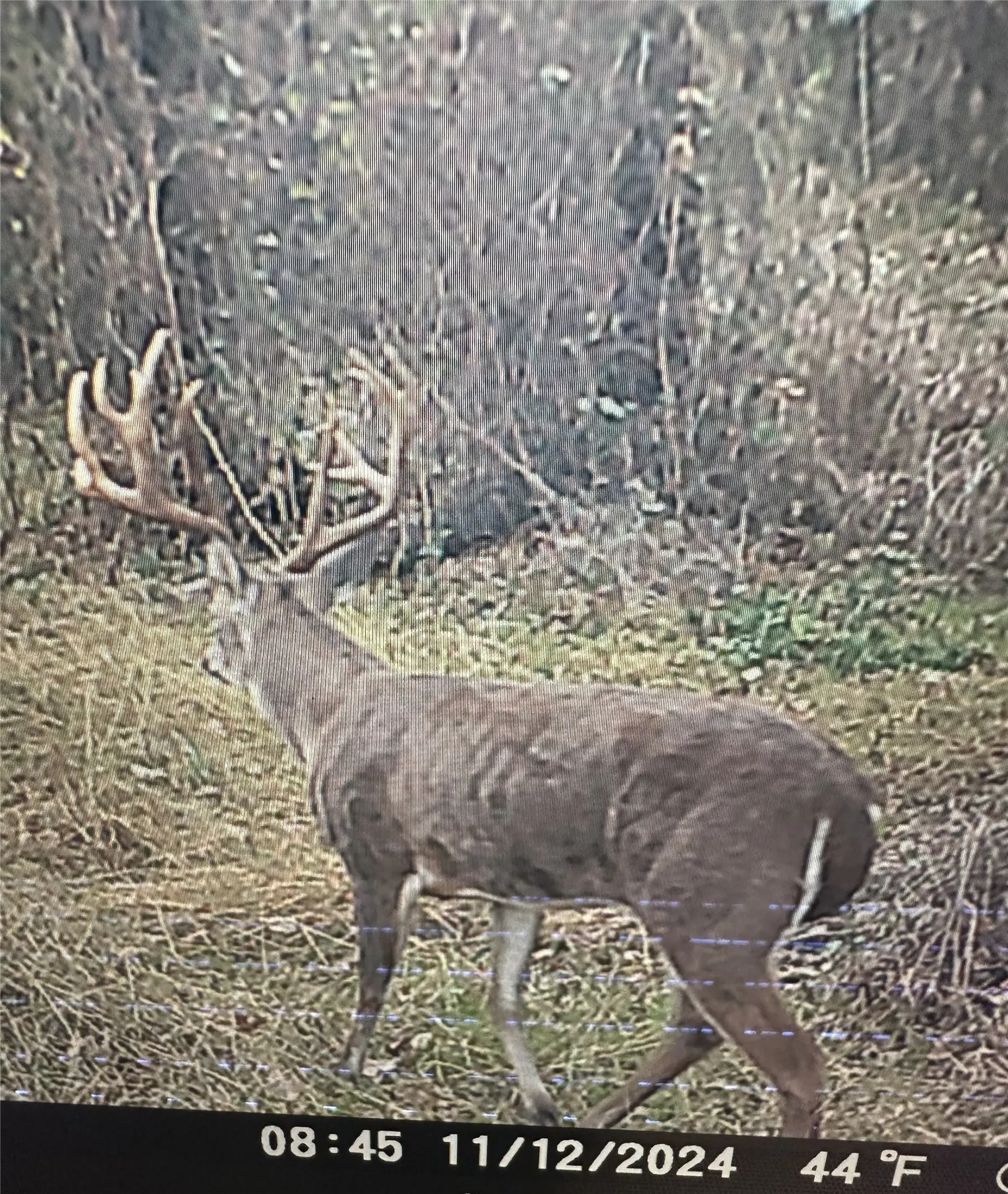 Hunting opportunities on property