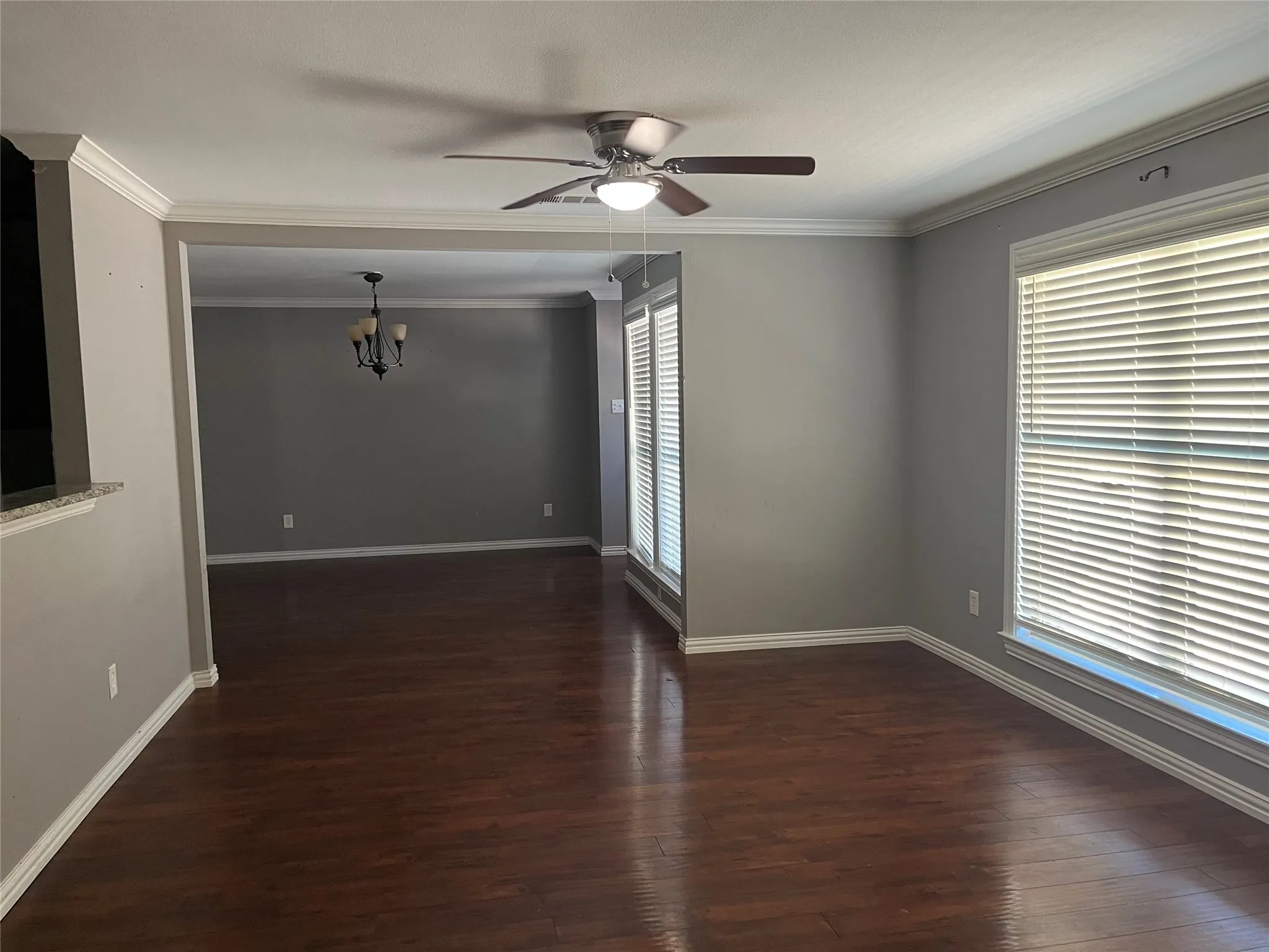 Wood-finish flooring, neutral paint, crown molding, ceiling fan, and window blinds