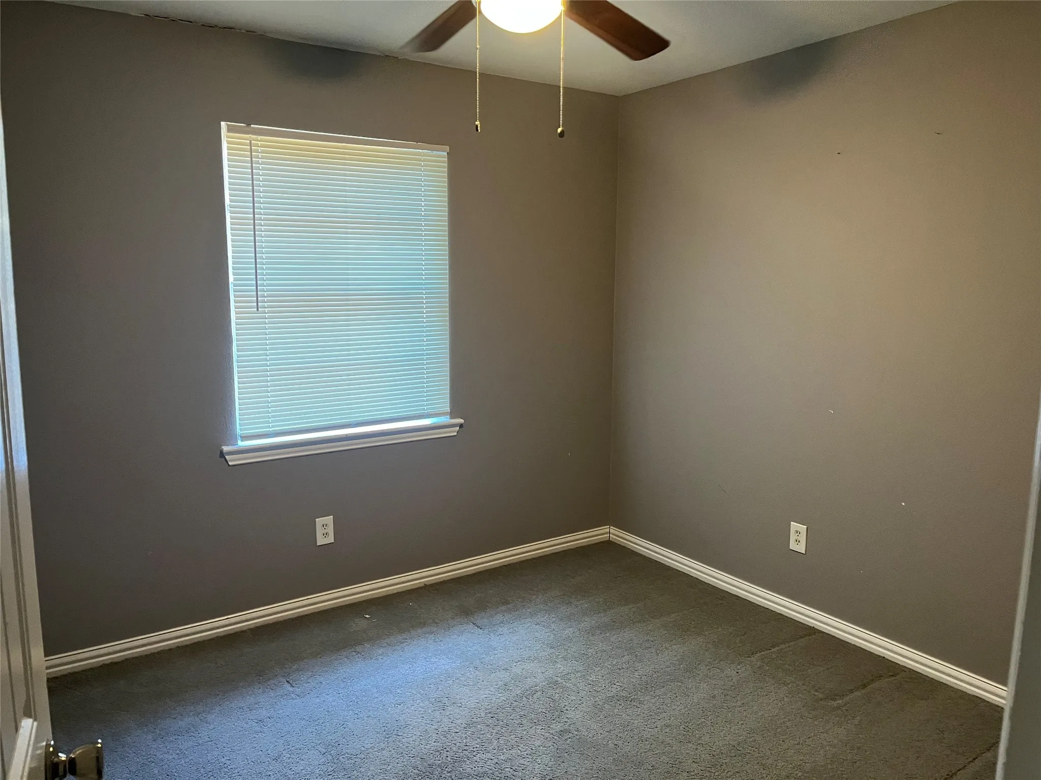 Window with blinds, ceiling fan with light fixture, wall-to-wall carpeting, and white trim