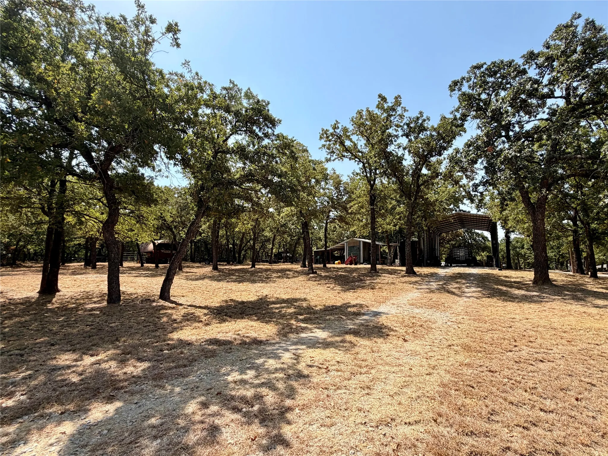 Expansive property featuring numerous mature trees and a gravel drive