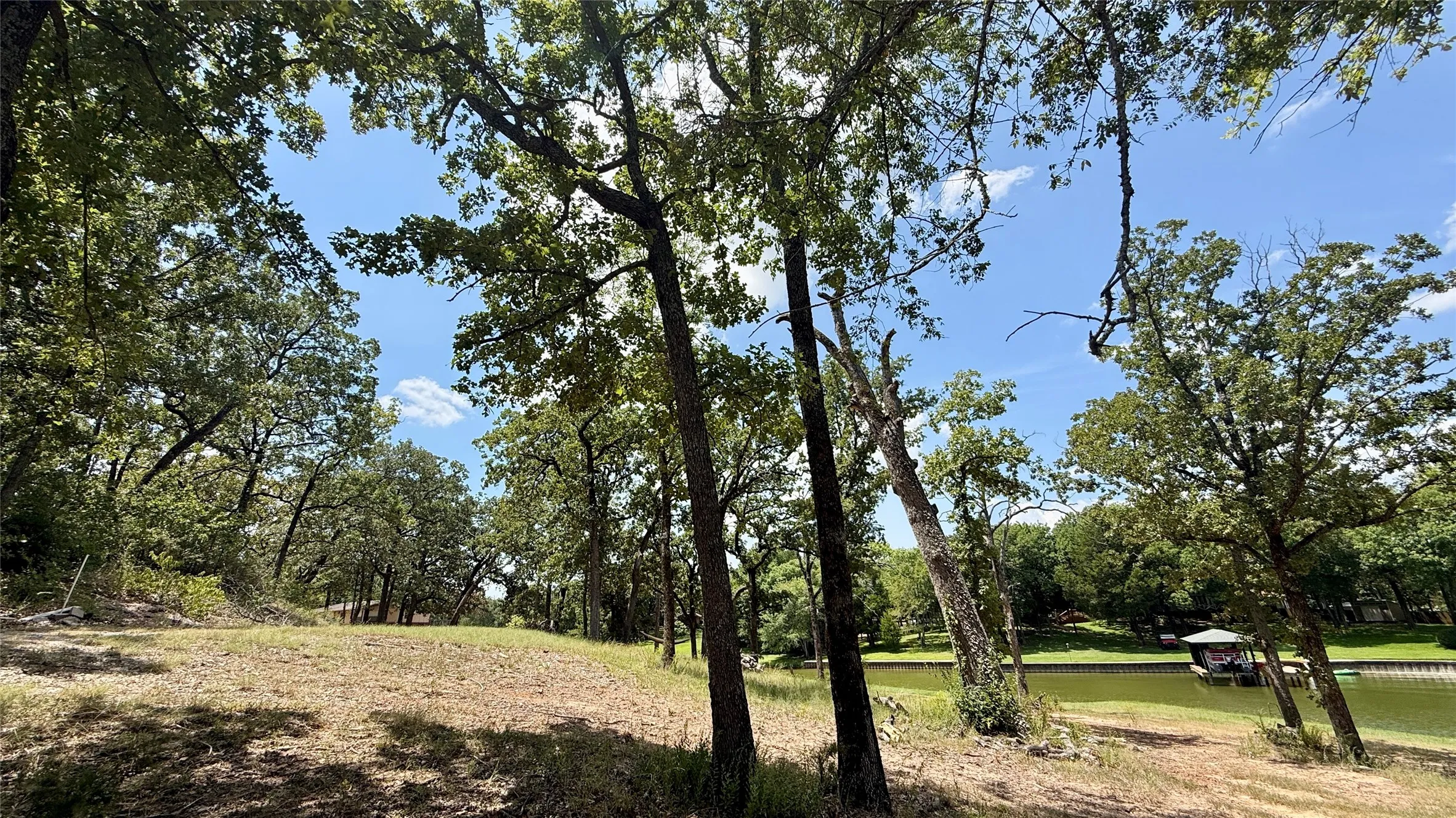 Gently sloping wooded terrain offers opportunities to orient a future lake home toward the water.