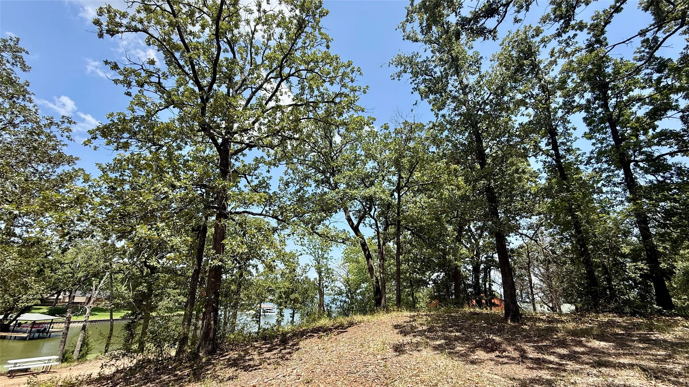 Wooded terrain provides a scenic backdrop for designing a custom lake home or easy-to-maintain weekend retreat.