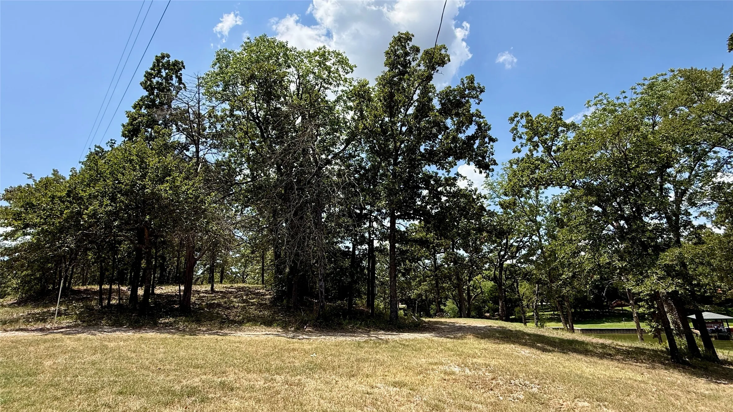 Mature trees and open ground provide a naturally beautiful setting for building near the shoreline in Streetman, Texas.