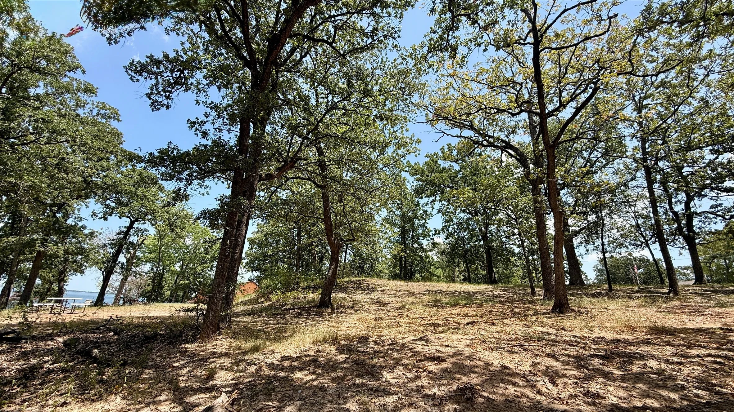 Mature trees and natural terrain provide shade and privacy for a future lake retreat on Richland Chambers Lake.