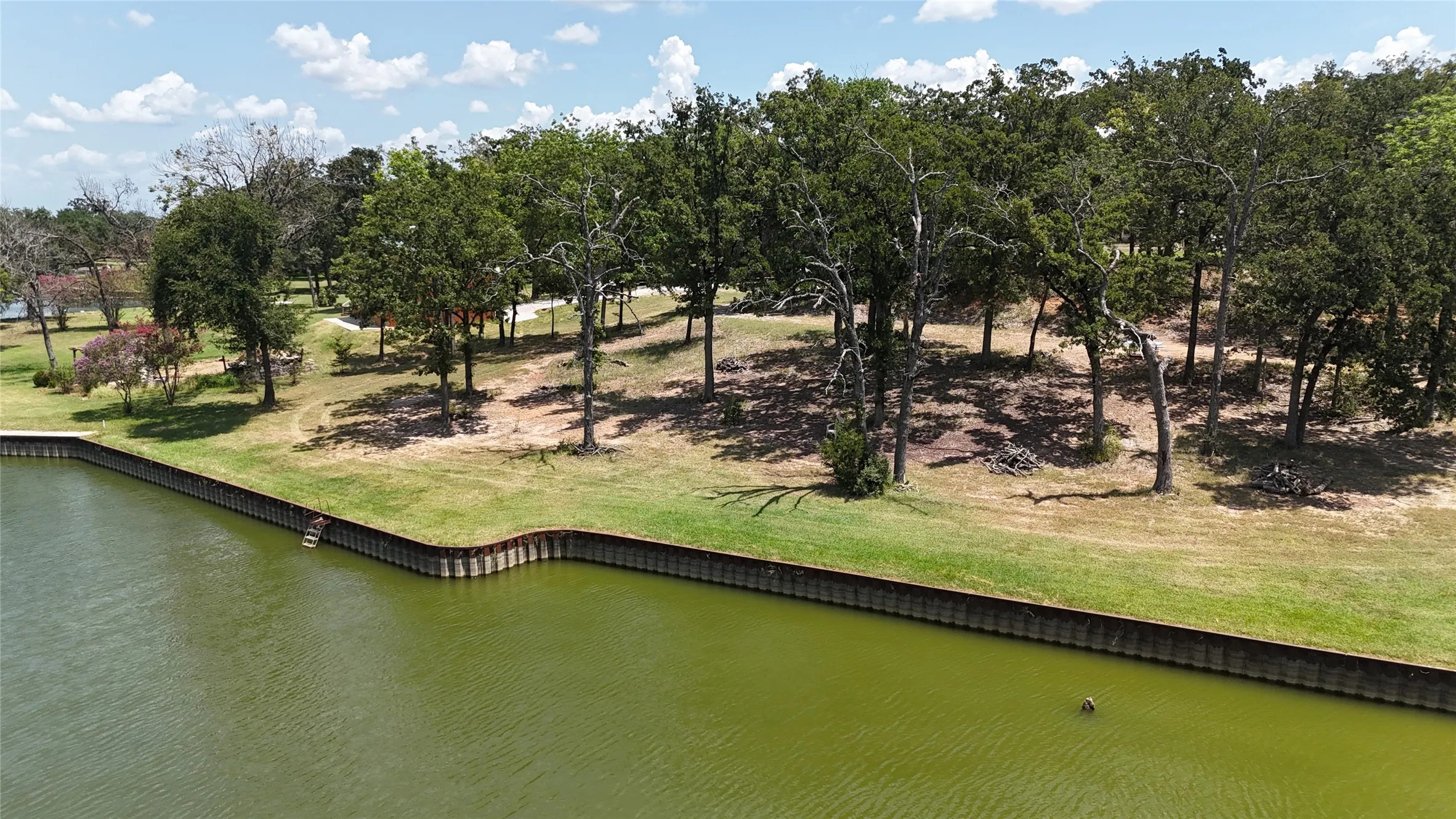 Wooded waterfront property with established shoreline offers a picturesque setting in Southside Shores on Richland Chambers Lake.