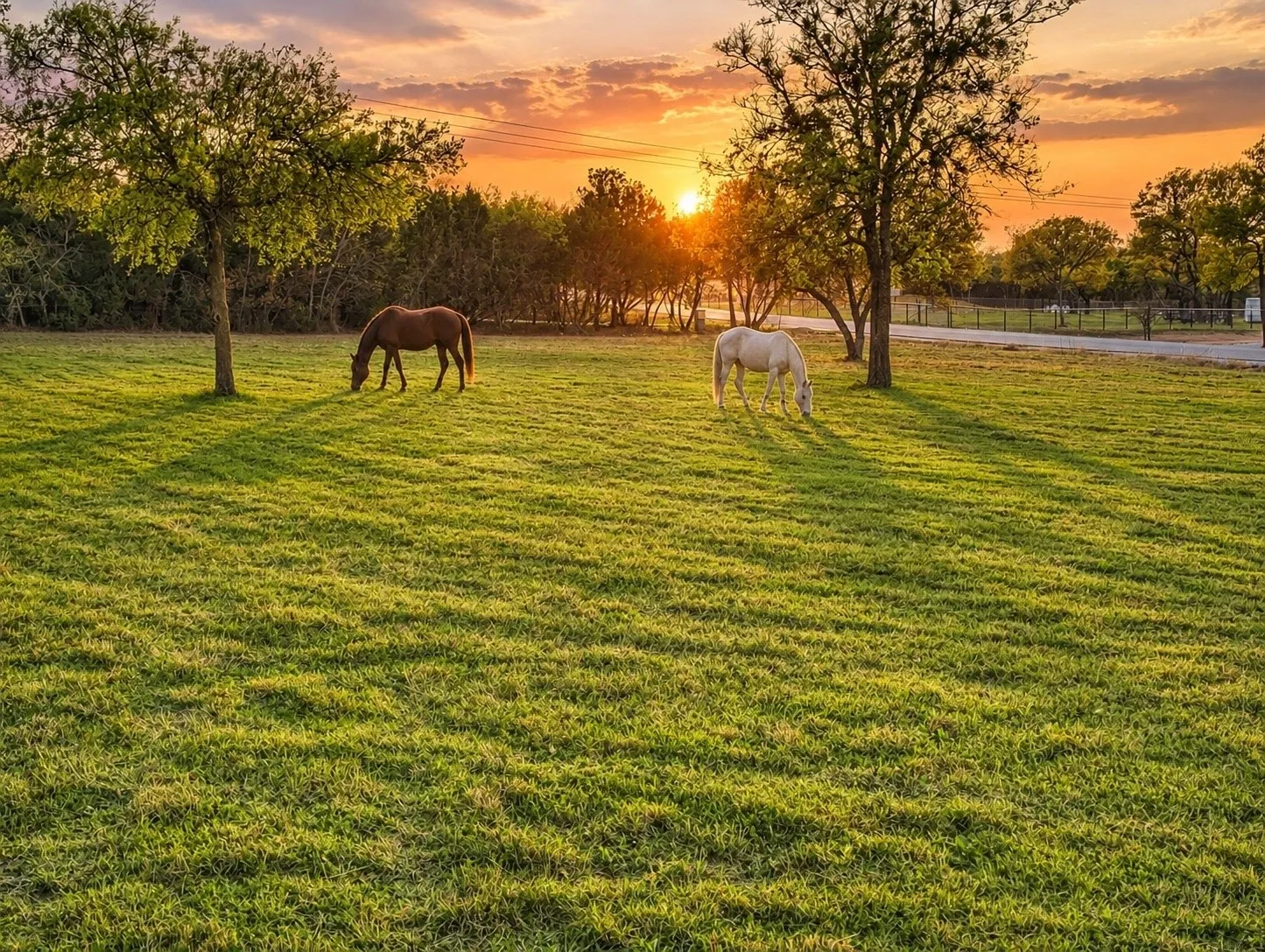 Unimproved Land For Sale in Parker County , 1019 Oak Bend Lane, Weatherford, Texas 76088, 0, 0, Garage spaces, 0 Sqft, built in 0, mls#21354150, Real Estate Agent in Weatherford, Homes For Sale in Parker county, Homes For Sale in Weatherford, Realtor in Weatherford Texas, Real Estate Brokerage Independent Realty Texas, Luminita Cordes Realtor
