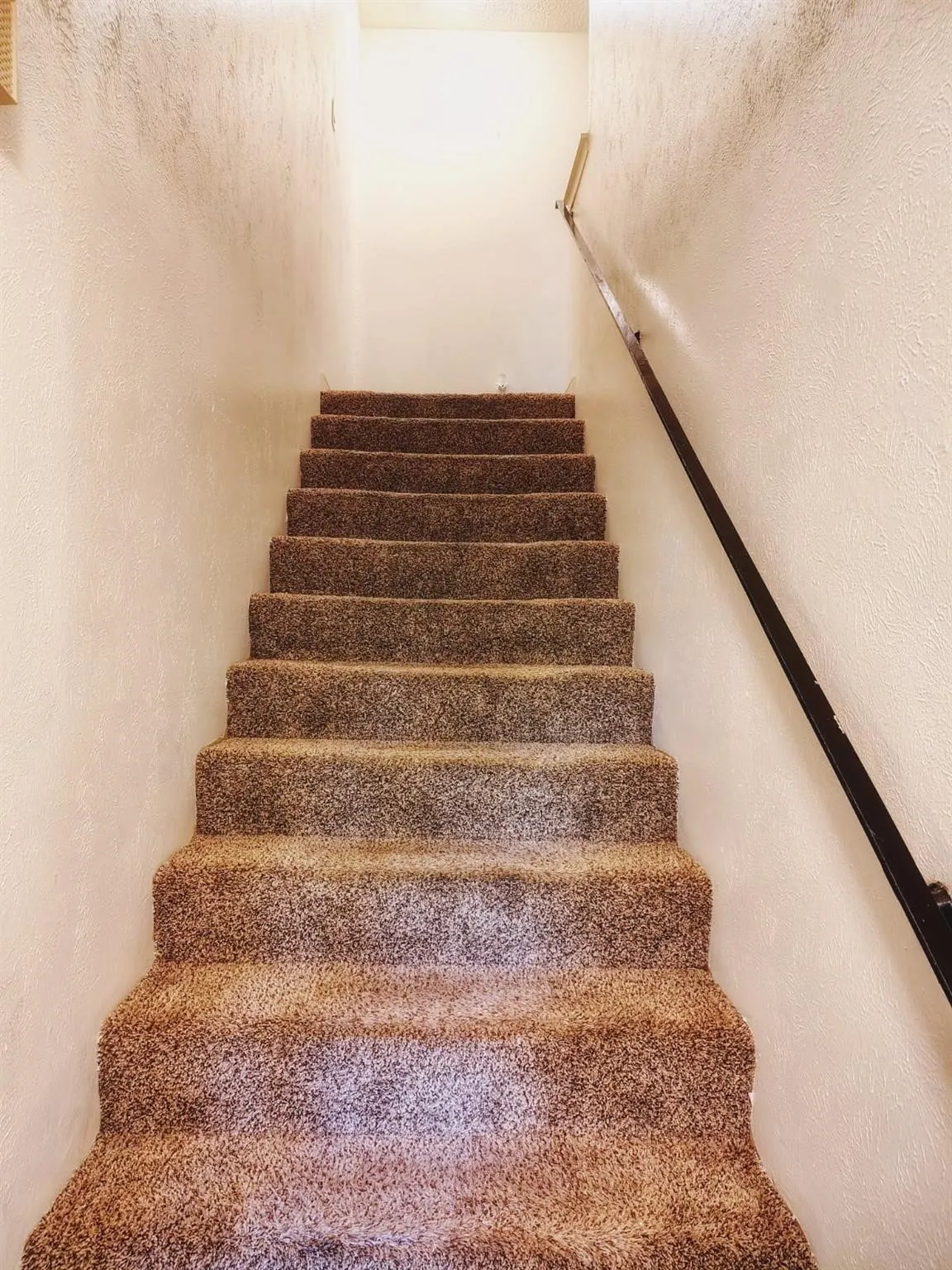 Carpeted staircase with a dark-finish handrail and textured wall finishes