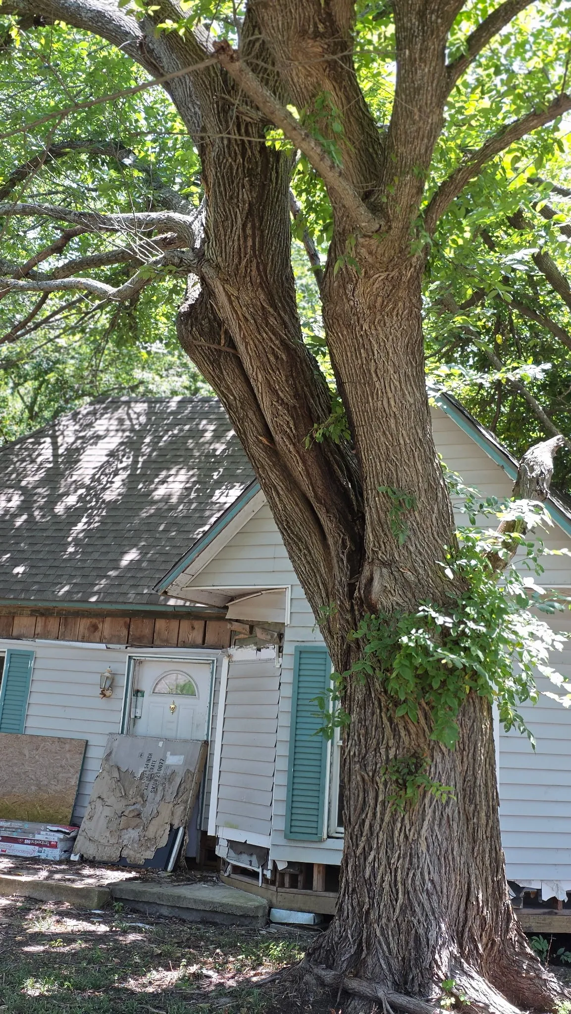 Single Family Residence For Sale in Fannin County , 107 W Travis Street, Leonard, Texas 75452, 2 Bedroom, 1 Bathroom, Garage spaces, 1,141 Sqft, built in 1930, mls#21354250, Real Estate Agent in Leonard, Homes For Sale in Fannin county, Homes For Sale in Leonard, Realtor in Leonard Texas, Real Estate Brokerage Independent Realty Texas, Luminita Cordes Realtor