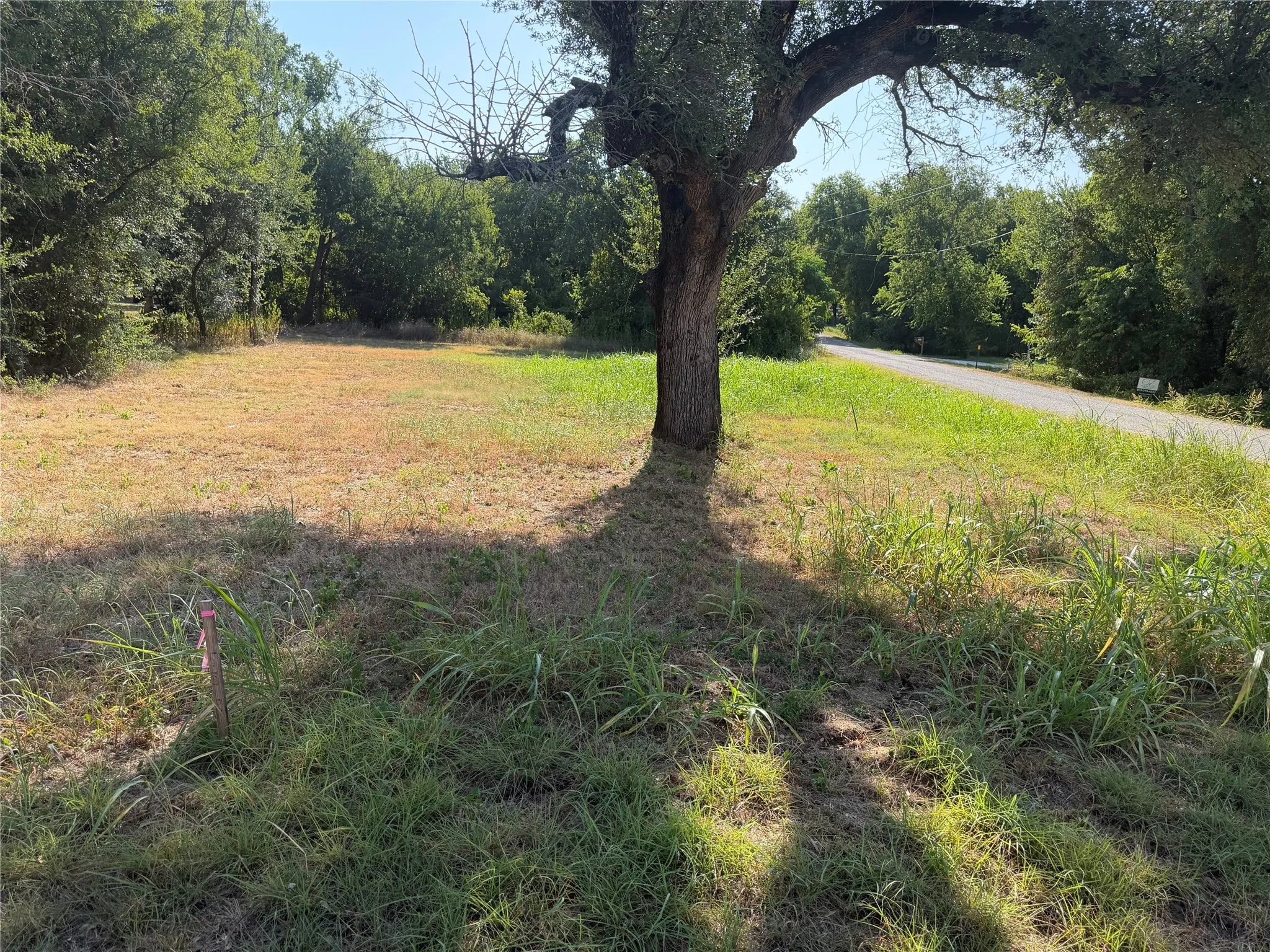 Unimproved Land For Sale in Hood County , 3101 Leo Road, Granbury, Texas 76049, 0, 0, Garage spaces, 0 Sqft, built in 0, Price $29,000, mls#21351699, Real Estate Agent in Granbury, Homes For Sale in Hood county, Homes For Sale in Granbury, Realtor in Granbury Texas, Real Estate Brokerage Independent Realty Texas, Luminita Cordes Realtor