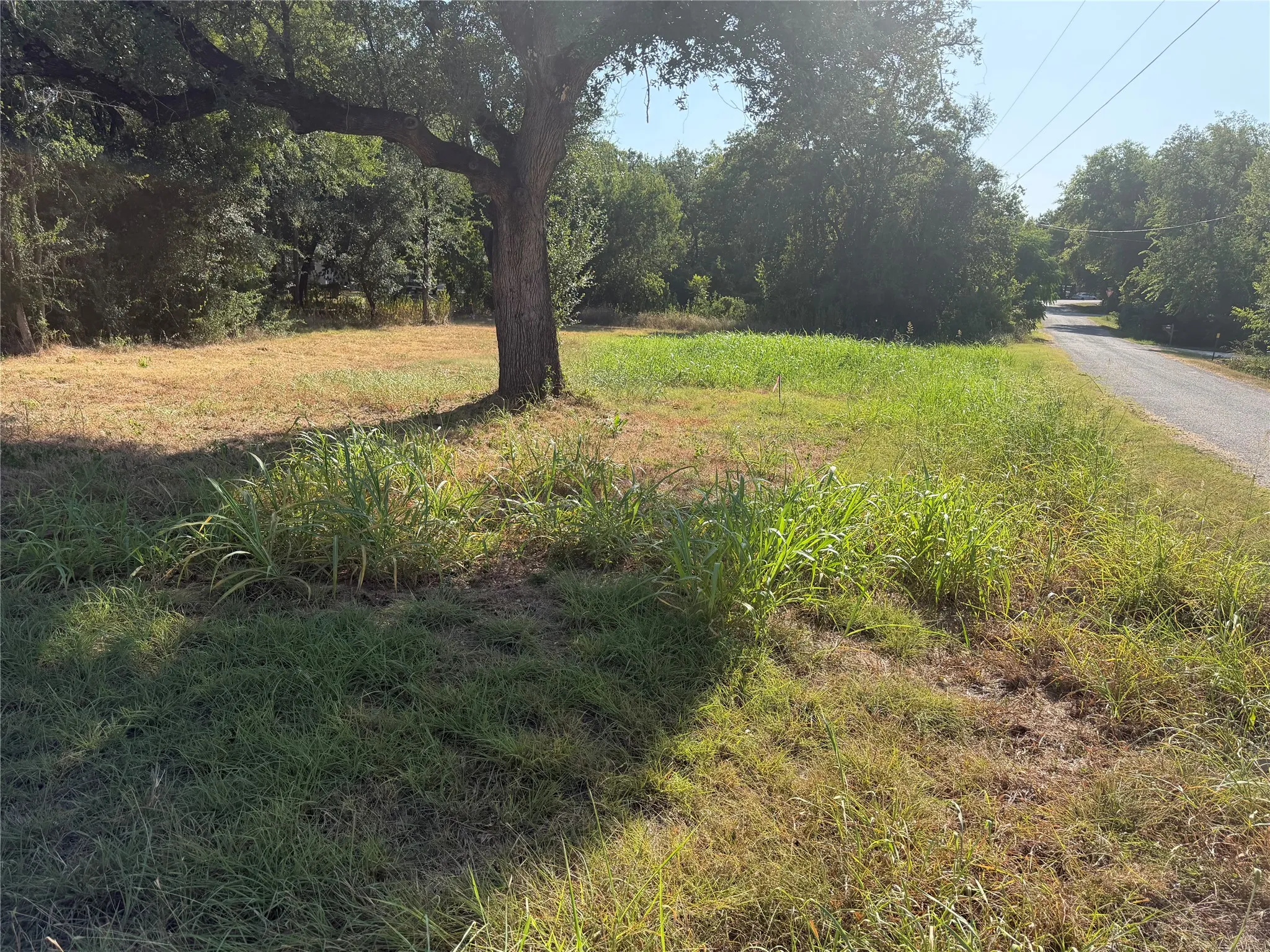 Unimproved Land For Sale in Hood County , 3101 Leo Road, Granbury, Texas 76049, 0, 0, Garage spaces, 0 Sqft, built in 0, Price $29,000, mls#21351699, Real Estate Agent in Granbury, Homes For Sale in Hood county, Homes For Sale in Granbury, Realtor in Granbury Texas, Real Estate Brokerage Independent Realty Texas, Luminita Cordes Realtor