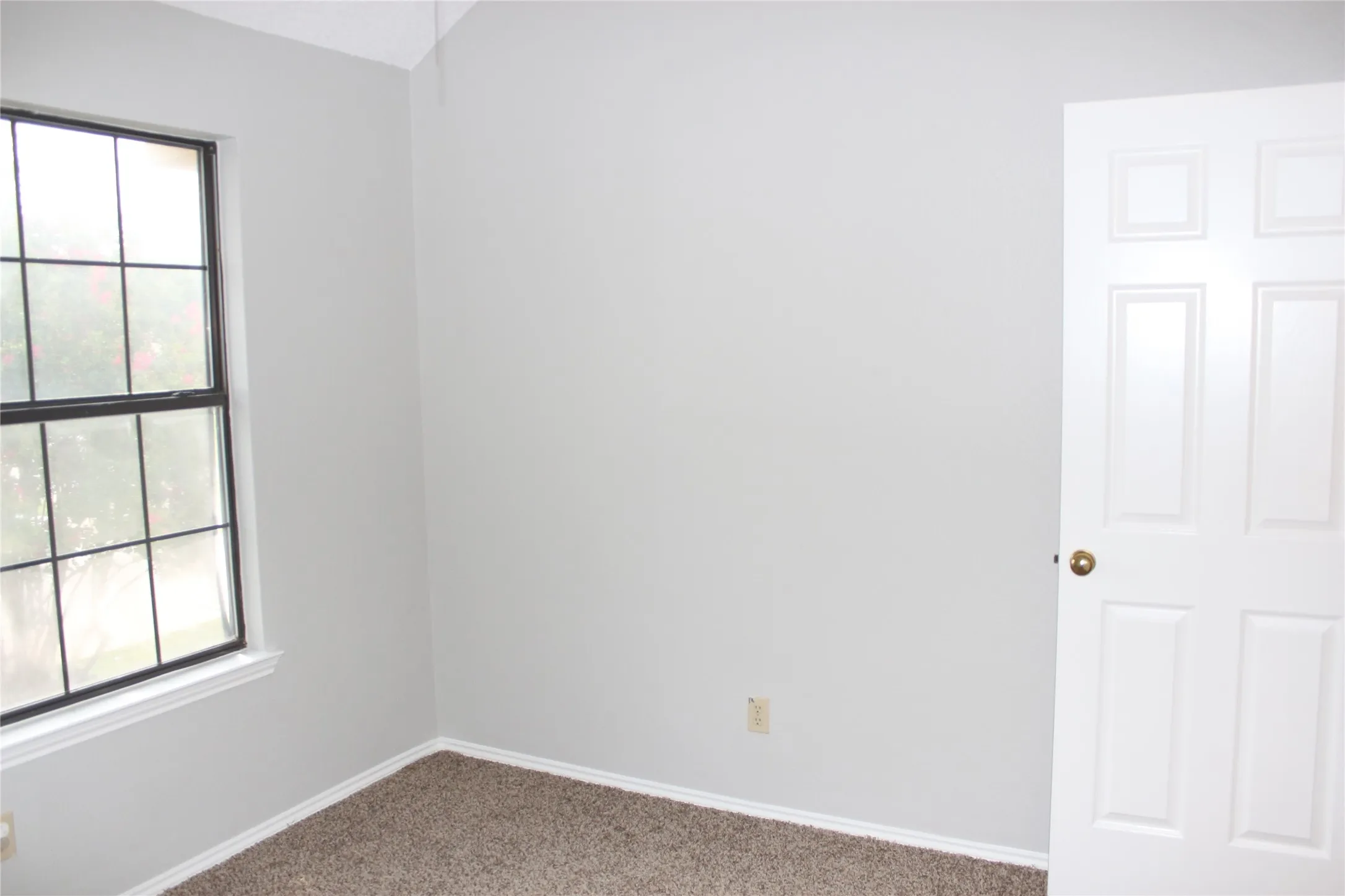 Bright interior space featuring a multi-pane window with a black frame and white trim