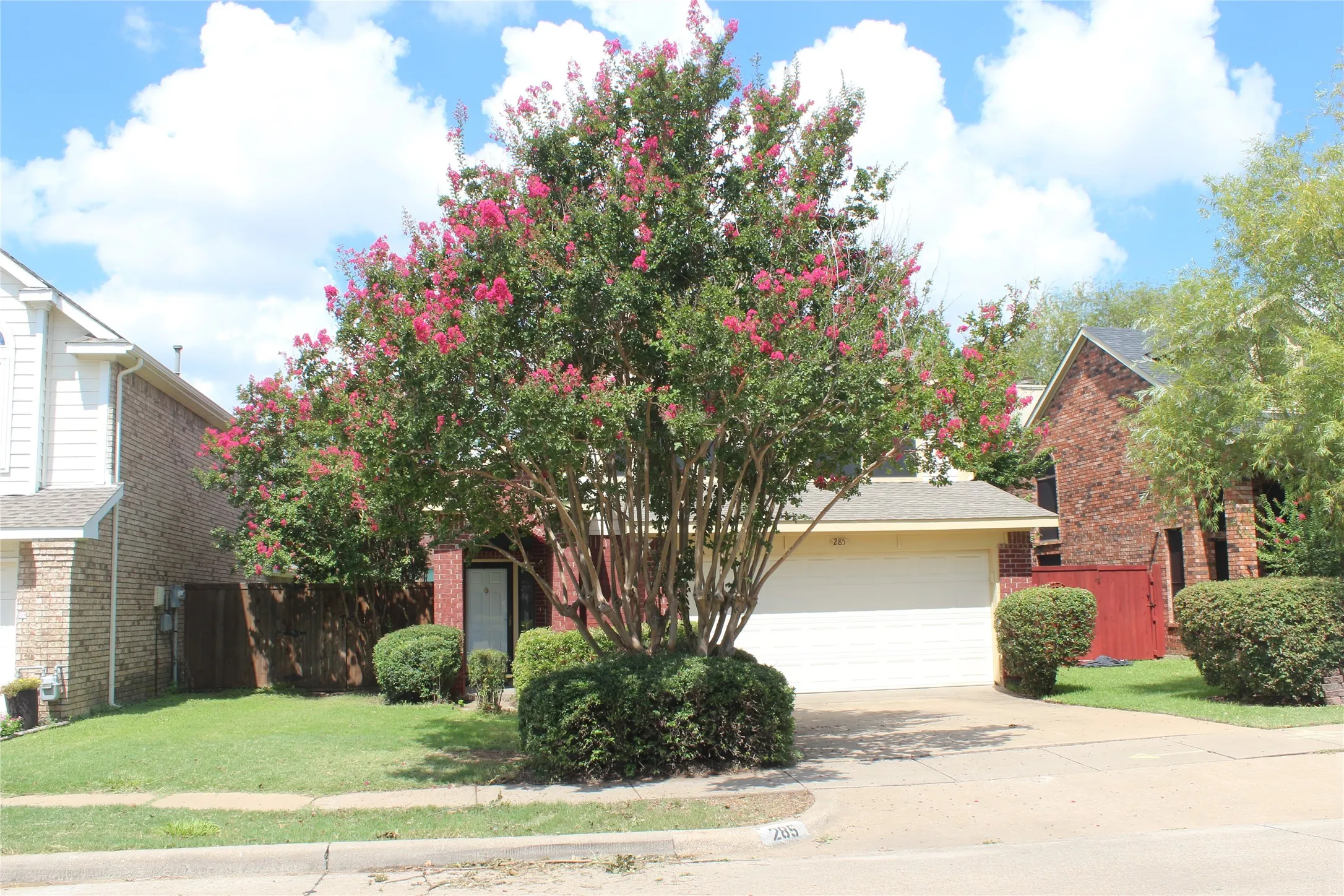 Brick and siding exterior with a prominent flowering tree