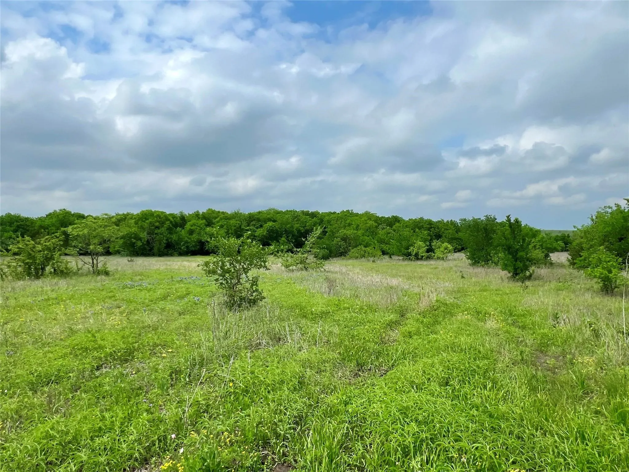 Unimproved Land For Sale in Ellis County , Lot 8 Fm 85, Ennis, Texas 75119, 0, 0, Garage spaces, 0 Sqft, built in 0, mls#21344954, Real Estate Agent in Ennis, Homes For Sale in Ellis county, Homes For Sale in Ennis, Realtor in Ennis Texas, Real Estate Brokerage Independent Realty Texas, Luminita Cordes Realtor