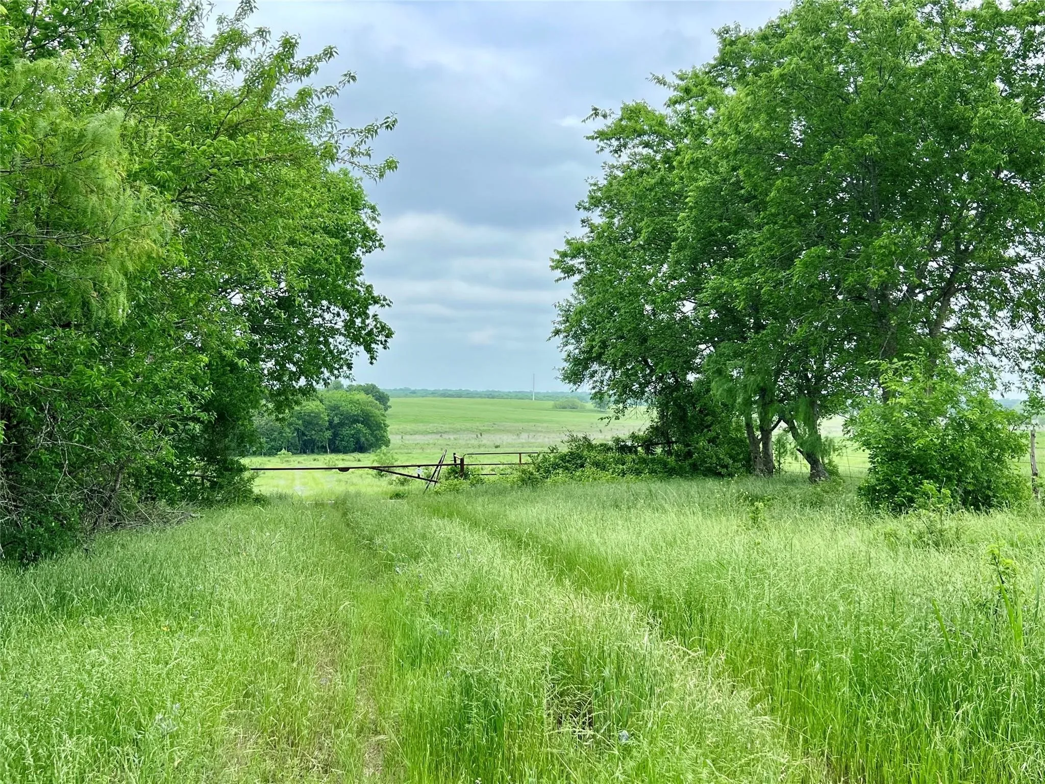 Unimproved Land For Sale in Ellis County , Lot 8 Fm 85, Ennis, Texas 75119, 0, 0, Garage spaces, 0 Sqft, built in 0, mls#21344954, Real Estate Agent in Ennis, Homes For Sale in Ellis county, Homes For Sale in Ennis, Realtor in Ennis Texas, Real Estate Brokerage Independent Realty Texas, Luminita Cordes Realtor