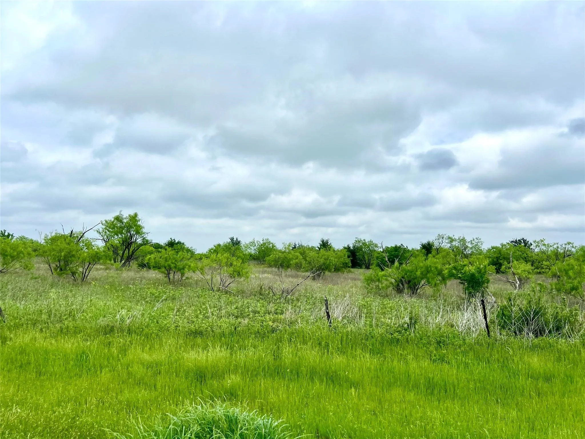 Unimproved Land For Sale in Ellis County , Lot 8 Fm 85, Ennis, Texas 75119, 0, 0, Garage spaces, 0 Sqft, built in 0, mls#21344954, Real Estate Agent in Ennis, Homes For Sale in Ellis county, Homes For Sale in Ennis, Realtor in Ennis Texas, Real Estate Brokerage Independent Realty Texas, Luminita Cordes Realtor