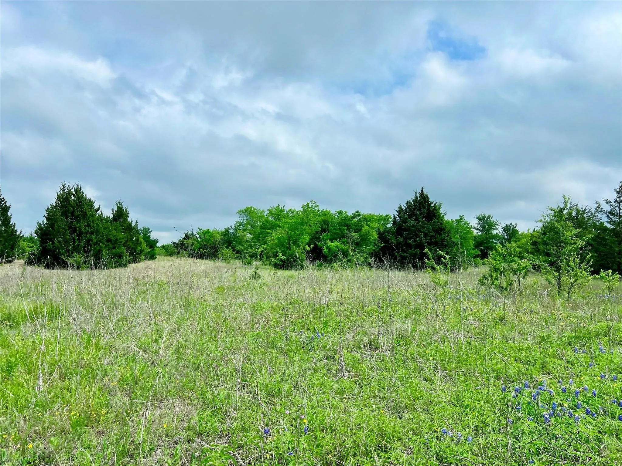 Unimproved Land For Sale in Ellis County , Lot 8 Fm 85, Ennis, Texas 75119, 0, 0, Garage spaces, 0 Sqft, built in 0, mls#21344954, Real Estate Agent in Ennis, Homes For Sale in Ellis county, Homes For Sale in Ennis, Realtor in Ennis Texas, Real Estate Brokerage Independent Realty Texas, Luminita Cordes Realtor