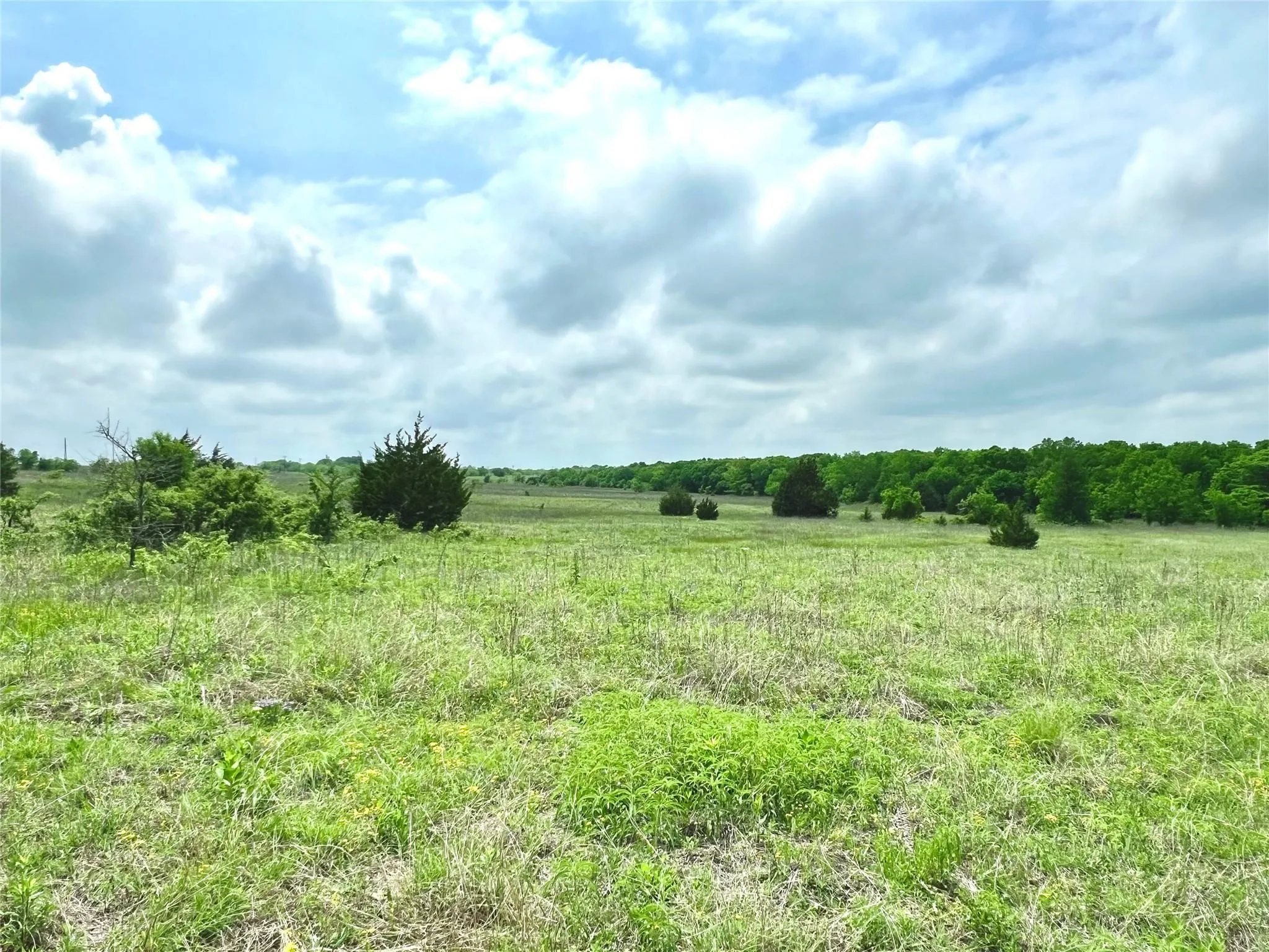 Unimproved Land For Sale in Ellis County , Lot 8 Fm 85, Ennis, Texas 75119, 0, 0, Garage spaces, 0 Sqft, built in 0, mls#21344954, Real Estate Agent in Ennis, Homes For Sale in Ellis county, Homes For Sale in Ennis, Realtor in Ennis Texas, Real Estate Brokerage Independent Realty Texas, Luminita Cordes Realtor