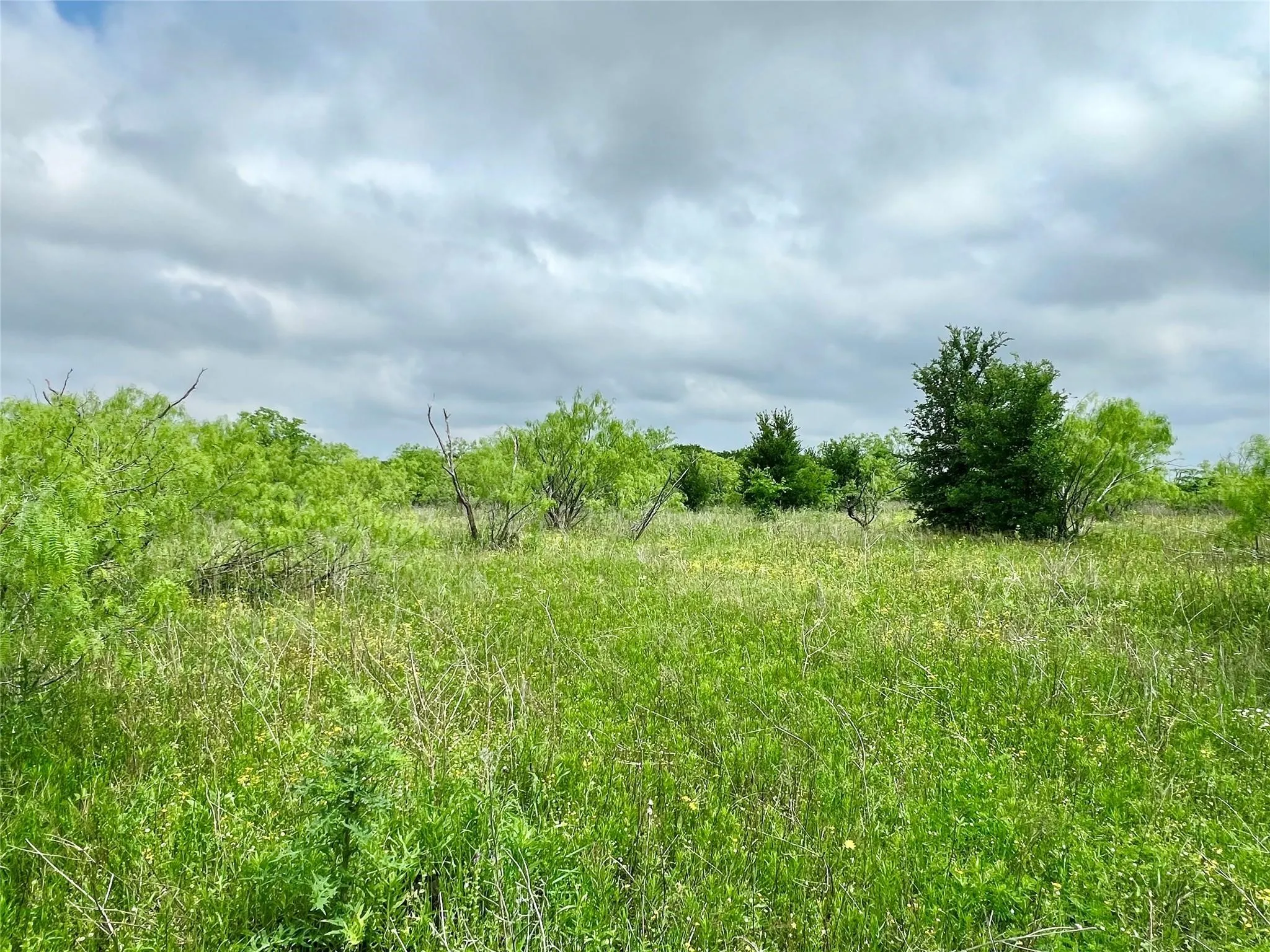 Unimproved Land For Sale in Ellis County , Lot 8 Fm 85, Ennis, Texas 75119, 0, 0, Garage spaces, 0 Sqft, built in 0, mls#21344954, Real Estate Agent in Ennis, Homes For Sale in Ellis county, Homes For Sale in Ennis, Realtor in Ennis Texas, Real Estate Brokerage Independent Realty Texas, Luminita Cordes Realtor