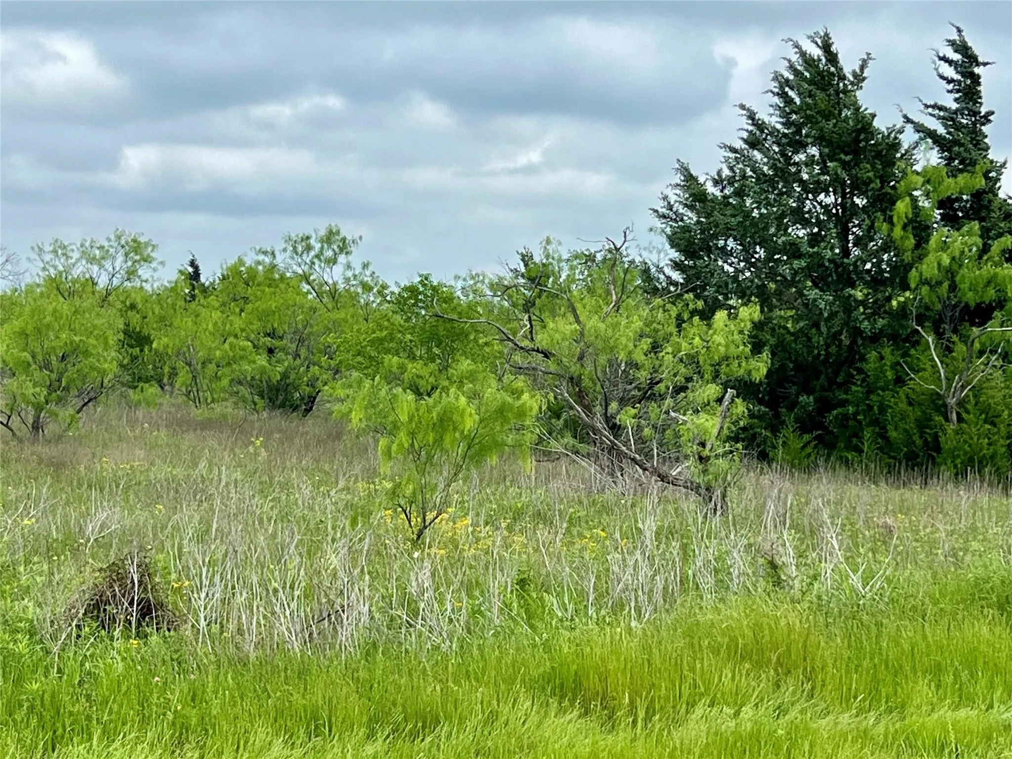 Unimproved Land For Sale in Ellis County , Lot 8 Fm 85, Ennis, Texas 75119, 0, 0, Garage spaces, 0 Sqft, built in 0, mls#21344954, Real Estate Agent in Ennis, Homes For Sale in Ellis county, Homes For Sale in Ennis, Realtor in Ennis Texas, Real Estate Brokerage Independent Realty Texas, Luminita Cordes Realtor