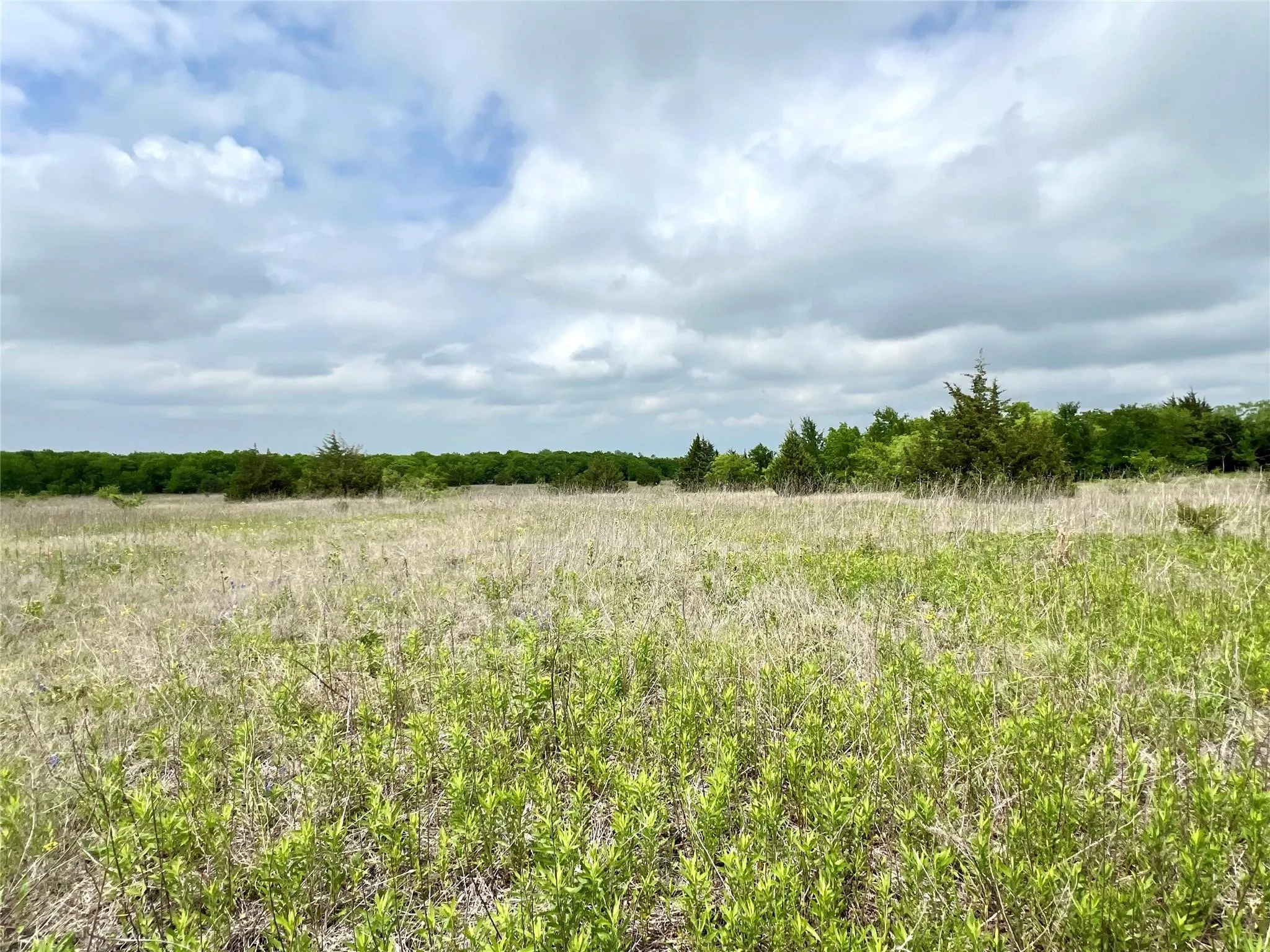 Unimproved Land For Sale in Ellis County , Lot 8 Fm 85, Ennis, Texas 75119, 0, 0, Garage spaces, 0 Sqft, built in 0, mls#21344954, Real Estate Agent in Ennis, Homes For Sale in Ellis county, Homes For Sale in Ennis, Realtor in Ennis Texas, Real Estate Brokerage Independent Realty Texas, Luminita Cordes Realtor