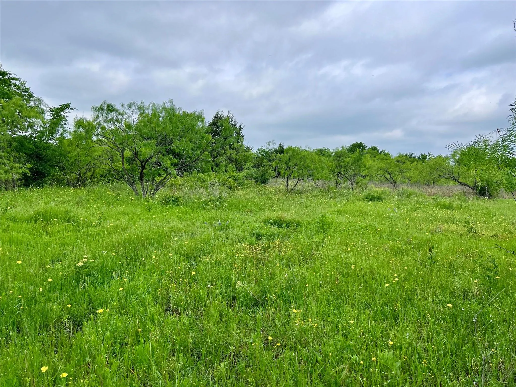 Unimproved Land For Sale in Ellis County , Lot 8 Fm 85, Ennis, Texas 75119, 0, 0, Garage spaces, 0 Sqft, built in 0, mls#21344954, Real Estate Agent in Ennis, Homes For Sale in Ellis county, Homes For Sale in Ennis, Realtor in Ennis Texas, Real Estate Brokerage Independent Realty Texas, Luminita Cordes Realtor
