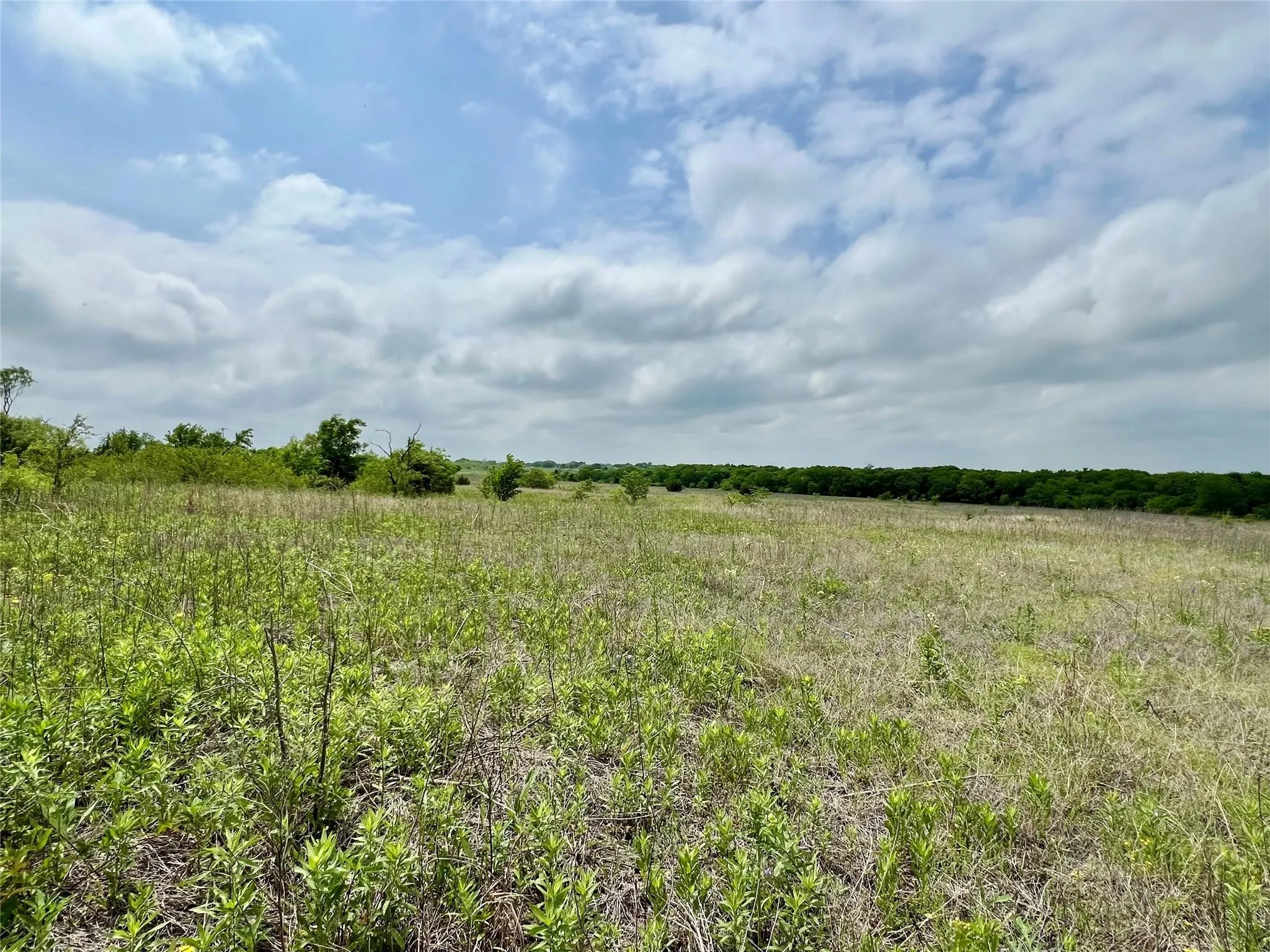 Unimproved Land For Sale in Ellis County , Lot 8 Fm 85, Ennis, Texas 75119, 0, 0, Garage spaces, 0 Sqft, built in 0, mls#21344954, Real Estate Agent in Ennis, Homes For Sale in Ellis county, Homes For Sale in Ennis, Realtor in Ennis Texas, Real Estate Brokerage Independent Realty Texas, Luminita Cordes Realtor