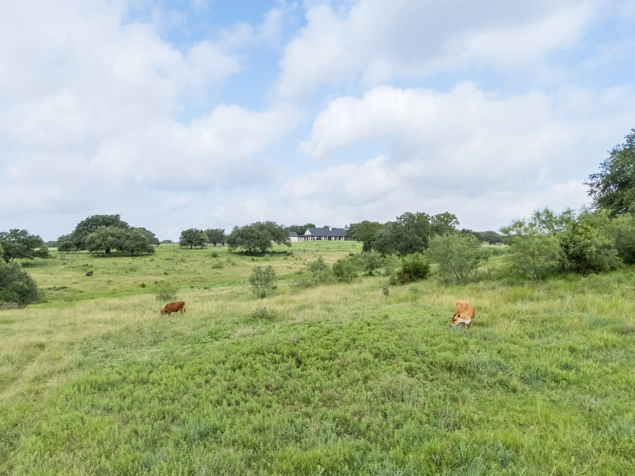 Back pasture