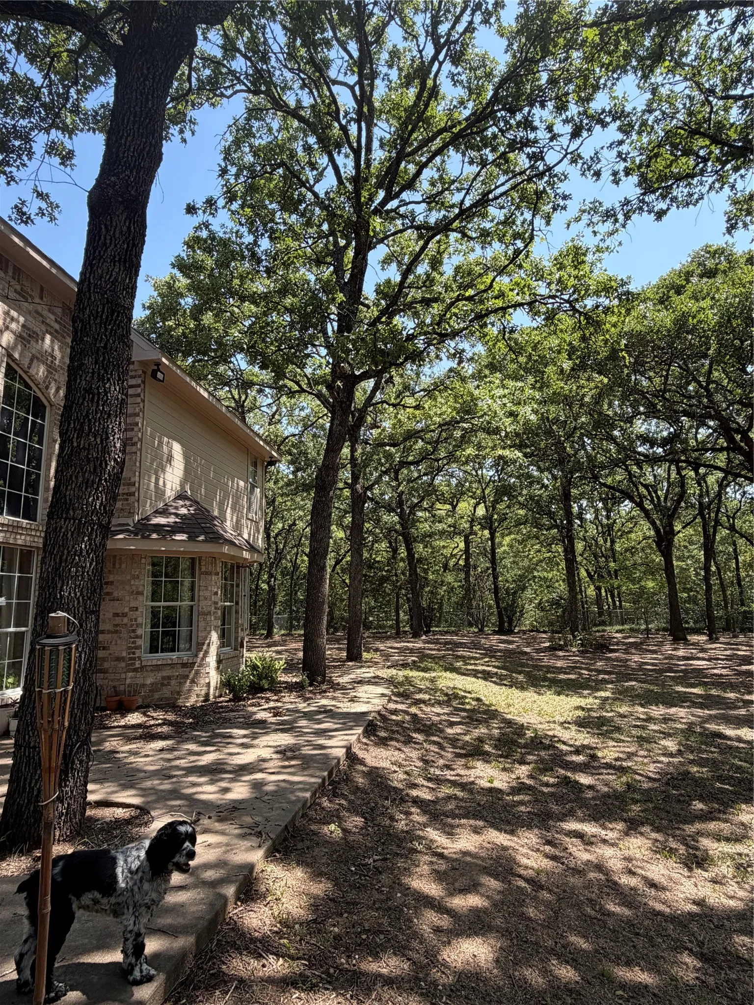 Stone and brick exterior with large arched windows, bay window feature, mature trees. Acreage is crossed fenced.