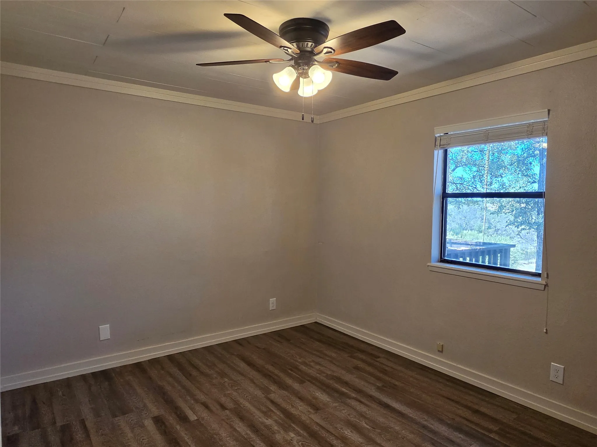 Wood-finish flooring, single window, ceiling fan with integrated lighting, crown molding, and neutral wall​​‌​​​​‌​​‌‌​‌‌​​​‌‌​‌​‌​‌​​​‌​​ tones