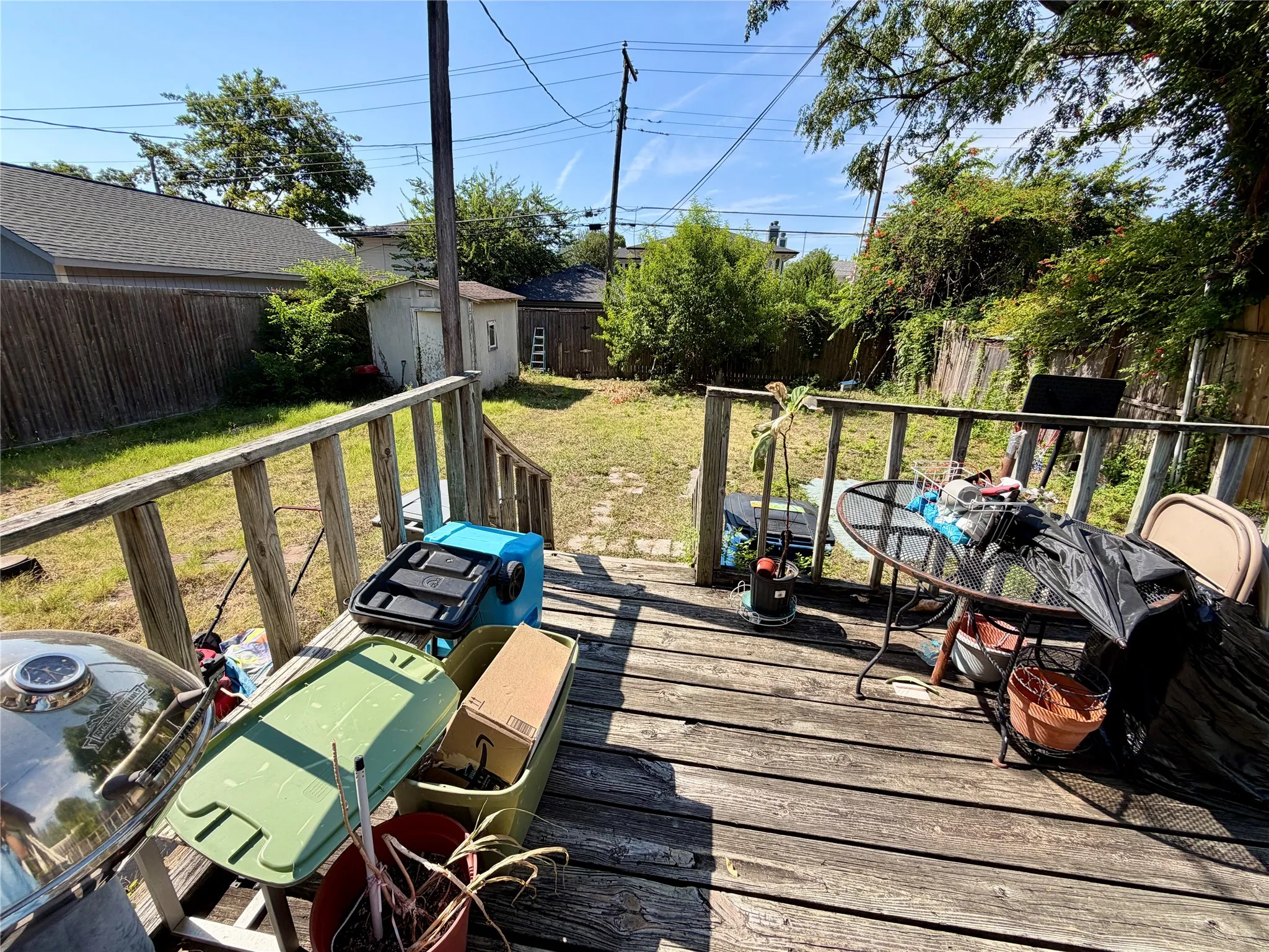 backyard