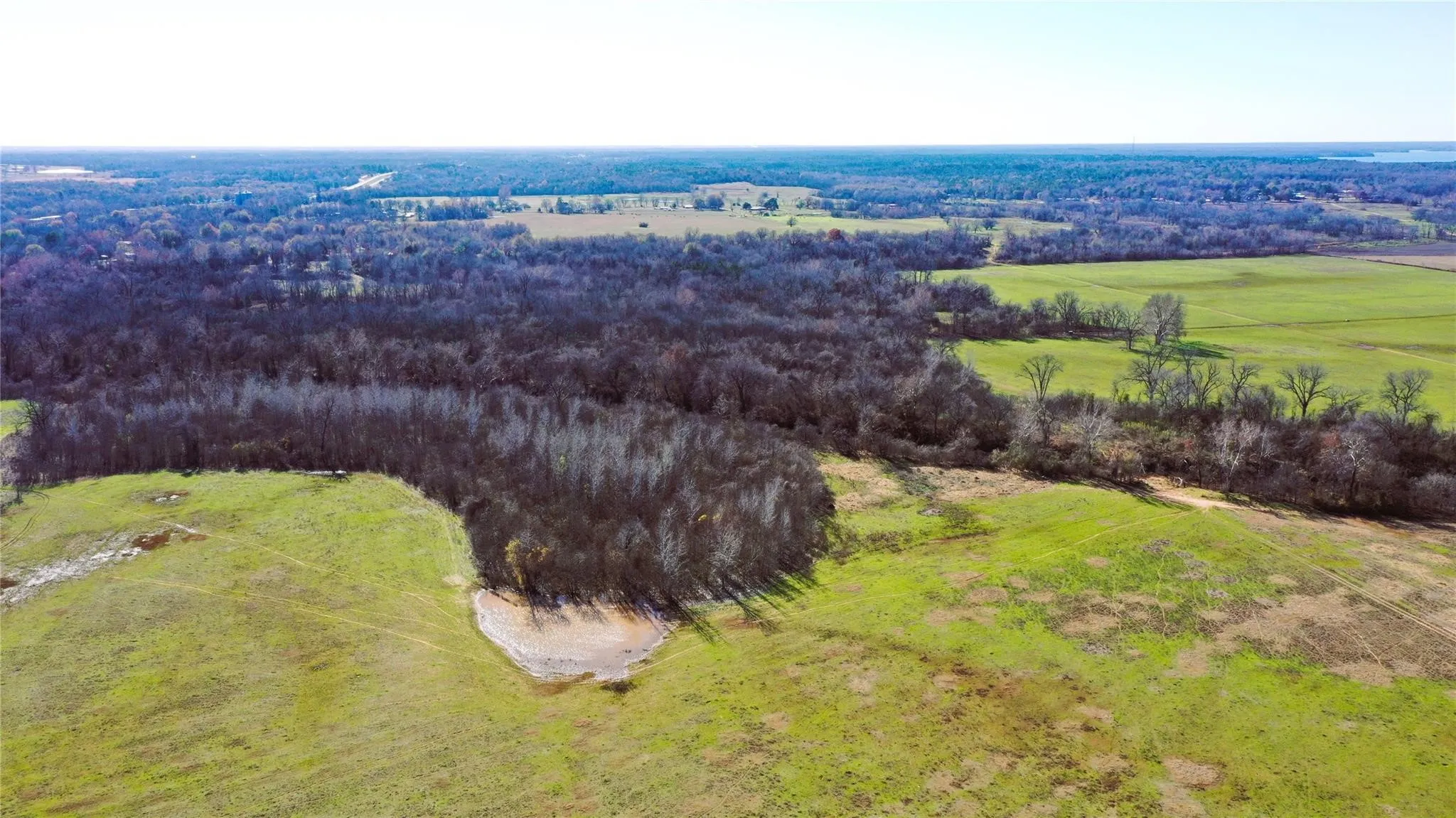 Unimproved Land For Sale in Lamar County , TBD Red River TBD Red River, Arthur City, Texas 75411, 0, 0, Garage spaces, 0 Sqft, built in 0, Price $1,590,000, mls#21354204, Real Estate Agent in Arthur City, Homes For Sale in Lamar county, Homes For Sale in Arthur City, Realtor in Arthur City Texas, Real Estate Brokerage Independent Realty Texas, Luminita Cordes Realtor