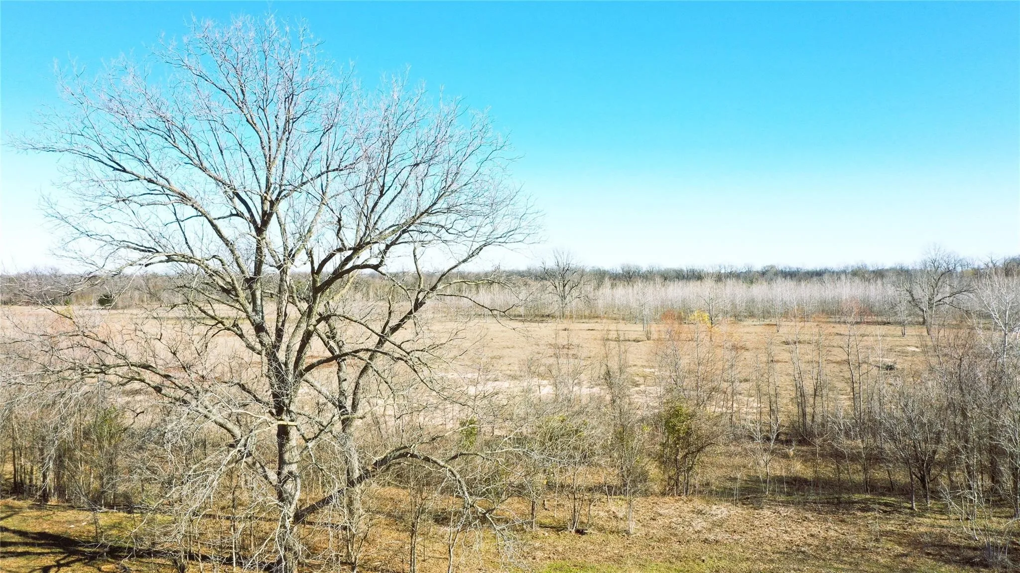 Unimproved Land For Sale in Lamar County , TBD Red River TBD Red River, Arthur City, Texas 75411, 0, 0, Garage spaces, 0 Sqft, built in 0, Price $1,590,000, mls#21354204, Real Estate Agent in Arthur City, Homes For Sale in Lamar county, Homes For Sale in Arthur City, Realtor in Arthur City Texas, Real Estate Brokerage Independent Realty Texas, Luminita Cordes Realtor
