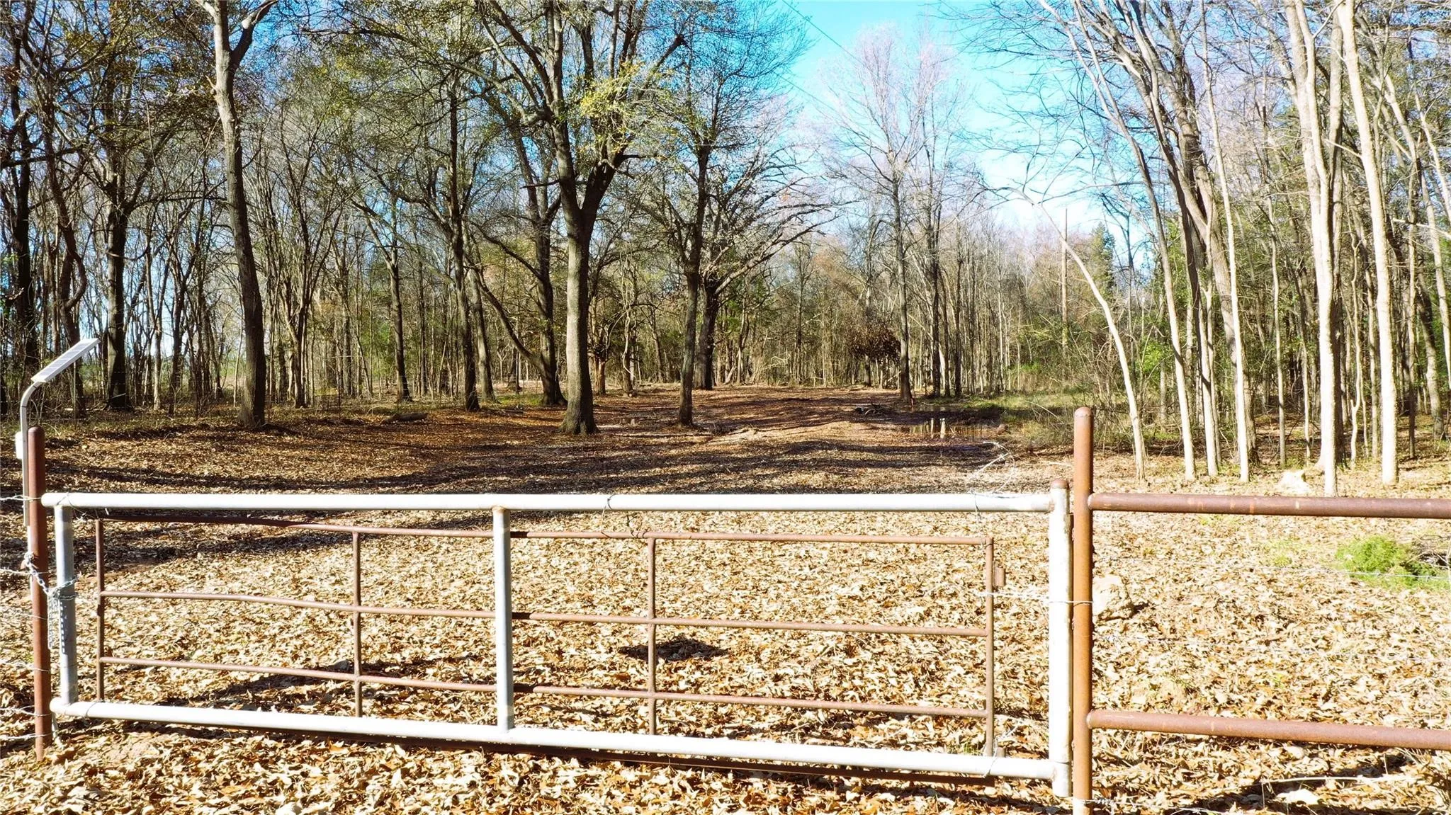 Unimproved Land For Sale in Lamar County , TBD Red River TBD Red River, Arthur City, Texas 75411, 0, 0, Garage spaces, 0 Sqft, built in 0, Price $1,590,000, mls#21354204, Real Estate Agent in Arthur City, Homes For Sale in Lamar county, Homes For Sale in Arthur City, Realtor in Arthur City Texas, Real Estate Brokerage Independent Realty Texas, Luminita Cordes Realtor