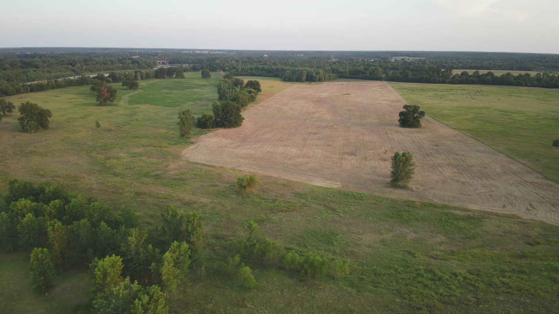 Unimproved Land For Sale in Lamar County , TBD Red River TBD Red River, Arthur City, Texas 75411, 0, 0, Garage spaces, 0 Sqft, built in 0, Price $1,590,000, mls#21354204, Real Estate Agent in Arthur City, Homes For Sale in Lamar county, Homes For Sale in Arthur City, Realtor in Arthur City Texas, Real Estate Brokerage Independent Realty Texas, Luminita Cordes Realtor