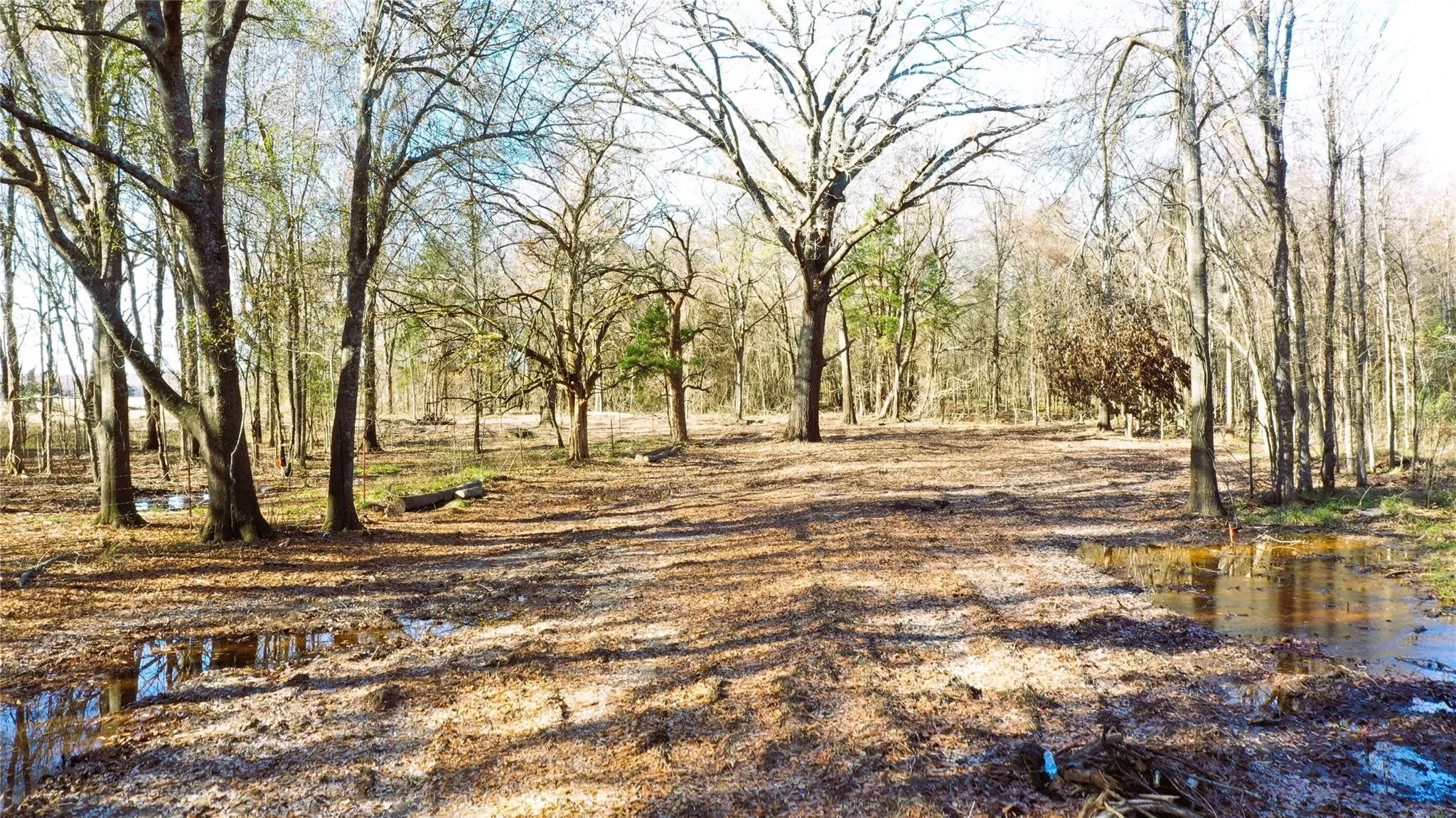 Unimproved Land For Sale in Lamar County , TBD Red River TBD Red River, Arthur City, Texas 75411, 0, 0, Garage spaces, 0 Sqft, built in 0, Price $1,590,000, mls#21354204, Real Estate Agent in Arthur City, Homes For Sale in Lamar county, Homes For Sale in Arthur City, Realtor in Arthur City Texas, Real Estate Brokerage Independent Realty Texas, Luminita Cordes Realtor