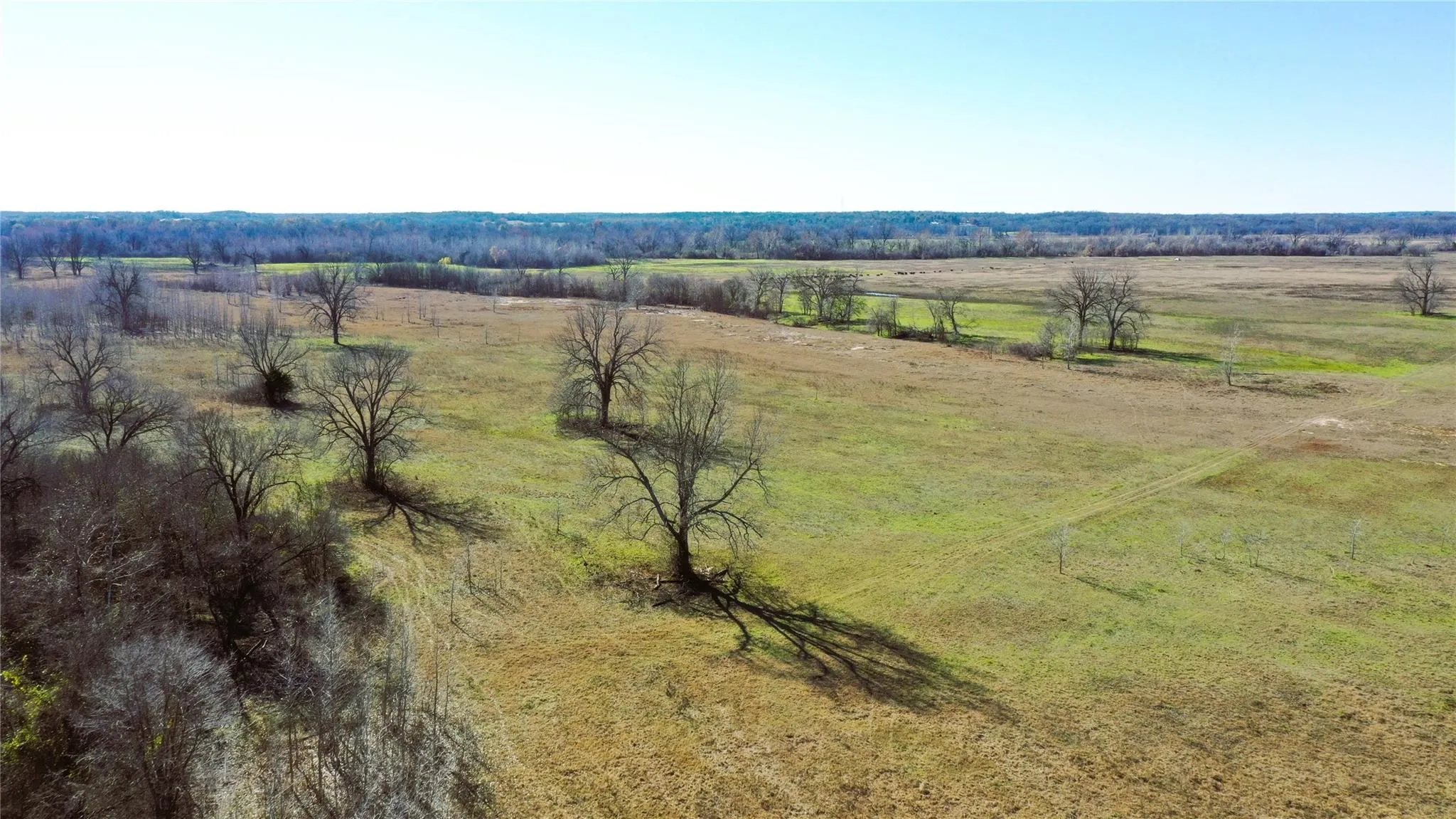 Unimproved Land For Sale in Lamar County , TBD Red River TBD Red River, Arthur City, Texas 75411, 0, 0, Garage spaces, 0 Sqft, built in 0, Price $1,590,000, mls#21354204, Real Estate Agent in Arthur City, Homes For Sale in Lamar county, Homes For Sale in Arthur City, Realtor in Arthur City Texas, Real Estate Brokerage Independent Realty Texas, Luminita Cordes Realtor