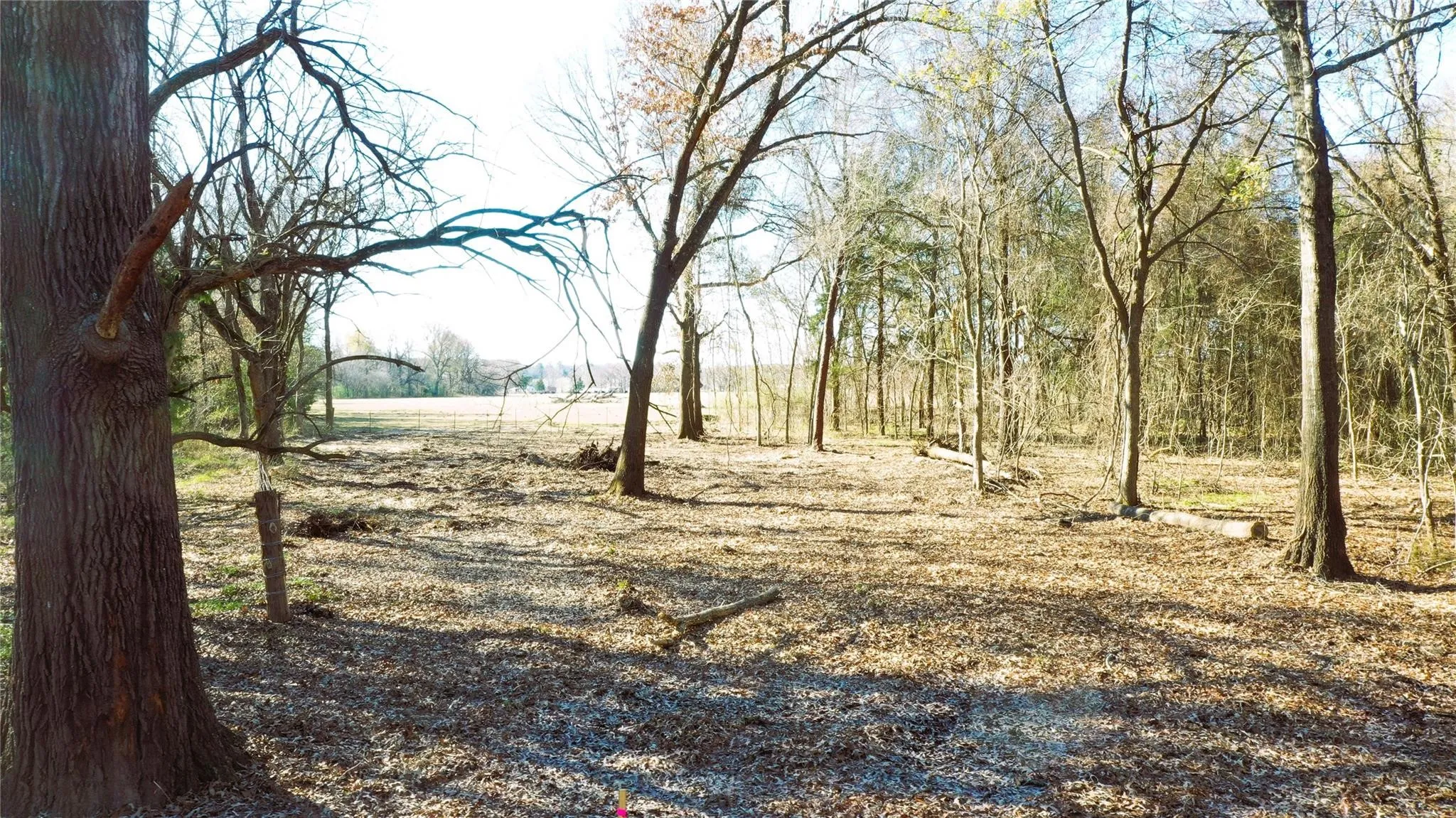 Unimproved Land For Sale in Lamar County , TBD Red River TBD Red River, Arthur City, Texas 75411, 0, 0, Garage spaces, 0 Sqft, built in 0, Price $1,590,000, mls#21354204, Real Estate Agent in Arthur City, Homes For Sale in Lamar county, Homes For Sale in Arthur City, Realtor in Arthur City Texas, Real Estate Brokerage Independent Realty Texas, Luminita Cordes Realtor