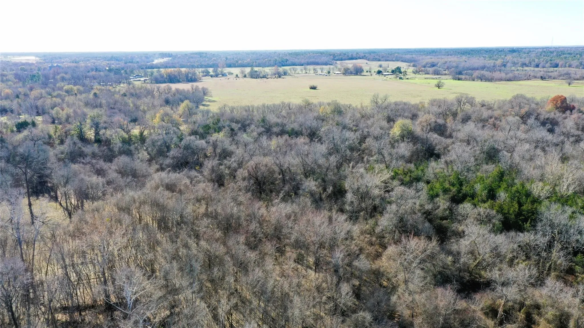 Unimproved Land For Sale in Lamar County , TBD Red River TBD Red River, Arthur City, Texas 75411, 0, 0, Garage spaces, 0 Sqft, built in 0, Price $1,590,000, mls#21354204, Real Estate Agent in Arthur City, Homes For Sale in Lamar county, Homes For Sale in Arthur City, Realtor in Arthur City Texas, Real Estate Brokerage Independent Realty Texas, Luminita Cordes Realtor