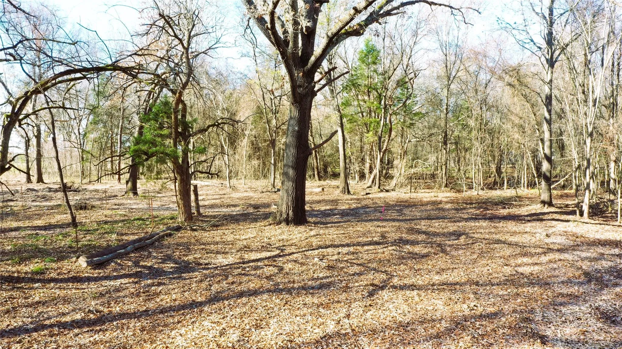 Unimproved Land For Sale in Lamar County , TBD Red River TBD Red River, Arthur City, Texas 75411, 0, 0, Garage spaces, 0 Sqft, built in 0, Price $1,590,000, mls#21354204, Real Estate Agent in Arthur City, Homes For Sale in Lamar county, Homes For Sale in Arthur City, Realtor in Arthur City Texas, Real Estate Brokerage Independent Realty Texas, Luminita Cordes Realtor