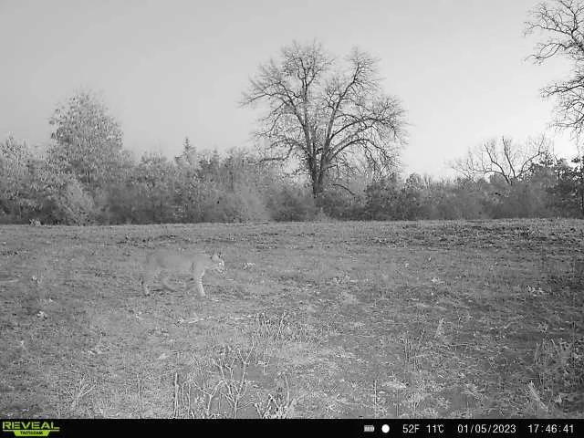Unimproved Land For Sale in Lamar County , TBD Red River TBD Red River, Arthur City, Texas 75411, 0, 0, Garage spaces, 0 Sqft, built in 0, Price $1,590,000, mls#21354204, Real Estate Agent in Arthur City, Homes For Sale in Lamar county, Homes For Sale in Arthur City, Realtor in Arthur City Texas, Real Estate Brokerage Independent Realty Texas, Luminita Cordes Realtor