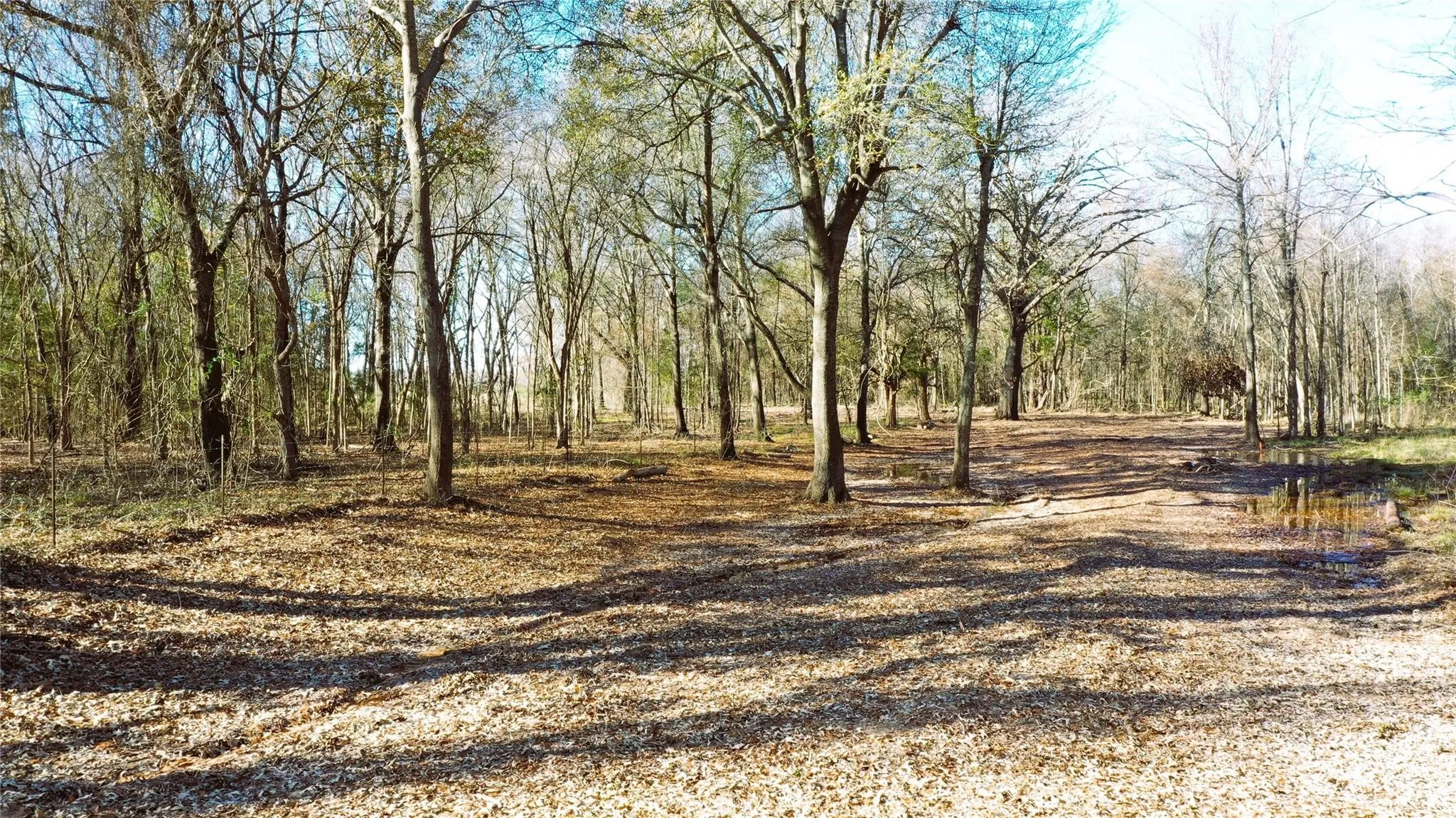 Unimproved Land For Sale in Lamar County , TBD Red River TBD Red River, Arthur City, Texas 75411, 0, 0, Garage spaces, 0 Sqft, built in 0, Price $1,590,000, mls#21354204, Real Estate Agent in Arthur City, Homes For Sale in Lamar county, Homes For Sale in Arthur City, Realtor in Arthur City Texas, Real Estate Brokerage Independent Realty Texas, Luminita Cordes Realtor