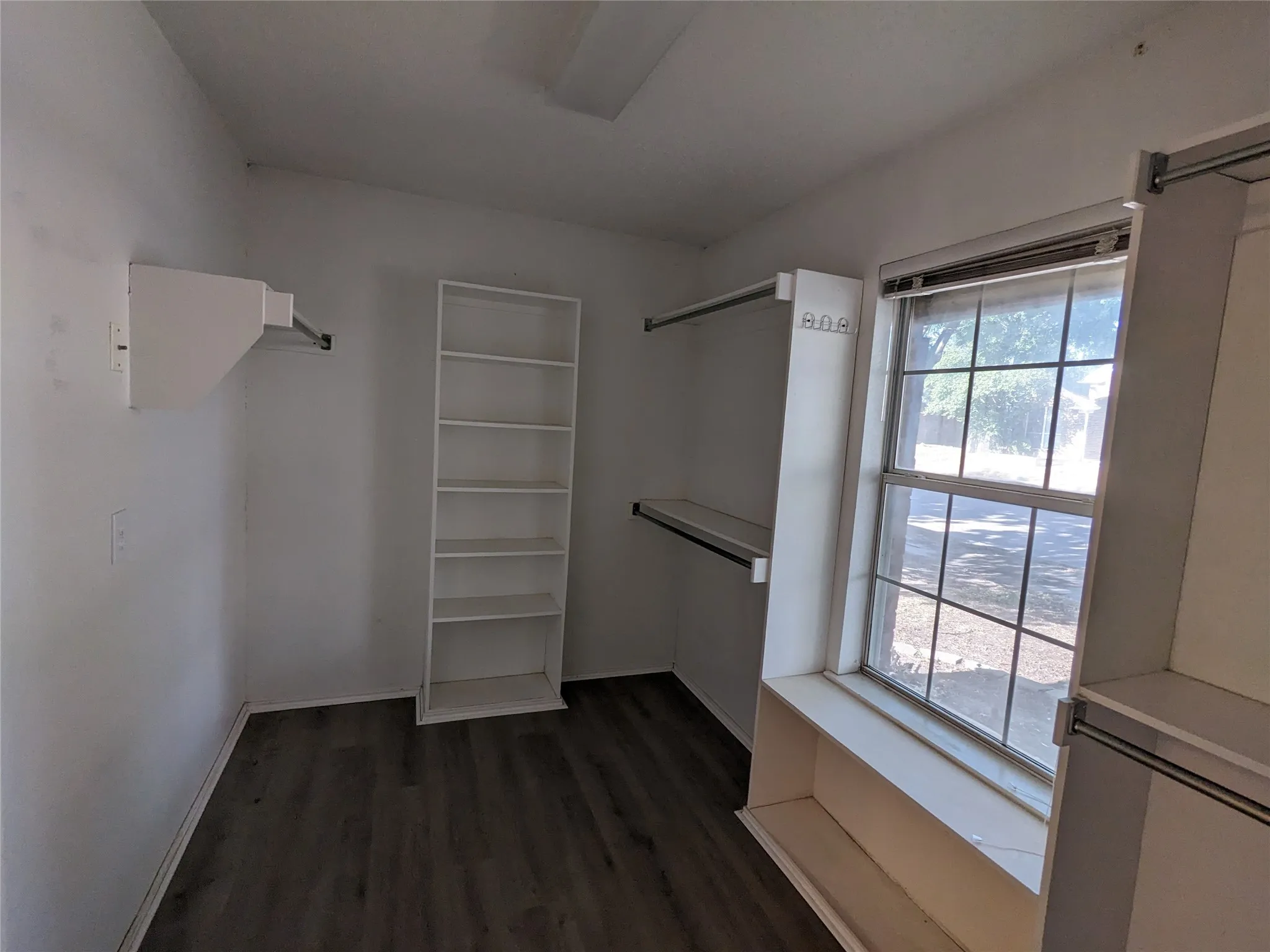 Walk-in closet featuring wood-finish flooring, built-in shelving, and a window with natural light