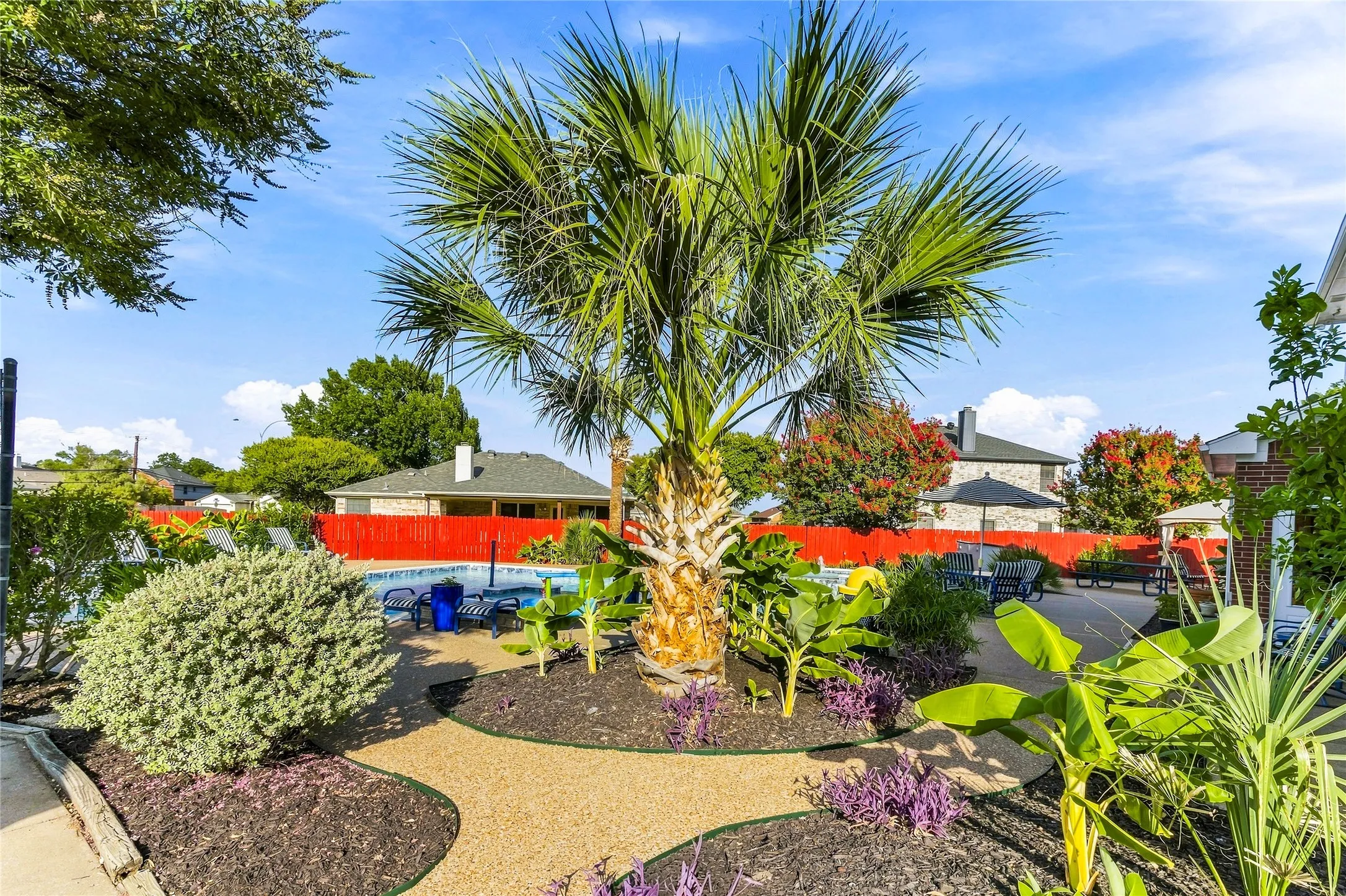 Tropical vegetation well nurtured among the solid surface.