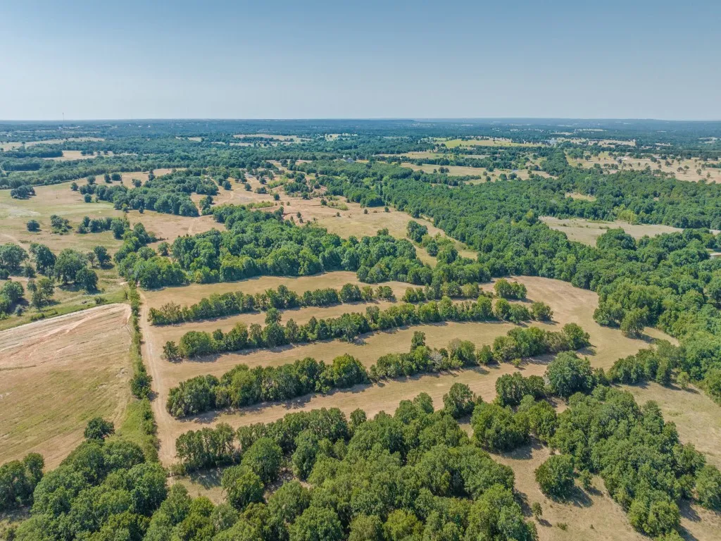 Farm For Sale in Montague County , 868 Nored Road, Forestburg, Texas 76239, 3 Bedroom, 2 Bathroom, 2 Garage spaces, 2,355 Sqft, built in 1993, mls#21353776, Real Estate Agent in Forestburg, Homes For Sale in Montague county, Homes For Sale in Forestburg, Realtor in Forestburg Texas, Real Estate Brokerage Independent Realty Texas, Luminita Cordes Realtor