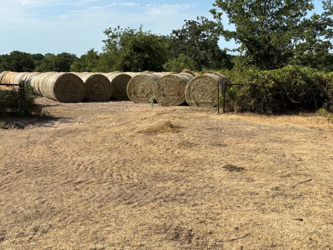 Farm For Sale in Montague County , 868 Nored Road, Forestburg, Texas 76239, 3 Bedroom, 2 Bathroom, 2 Garage spaces, 2,355 Sqft, built in 1993, mls#21353776, Real Estate Agent in Forestburg, Homes For Sale in Montague county, Homes For Sale in Forestburg, Realtor in Forestburg Texas, Real Estate Brokerage Independent Realty Texas, Luminita Cordes Realtor
