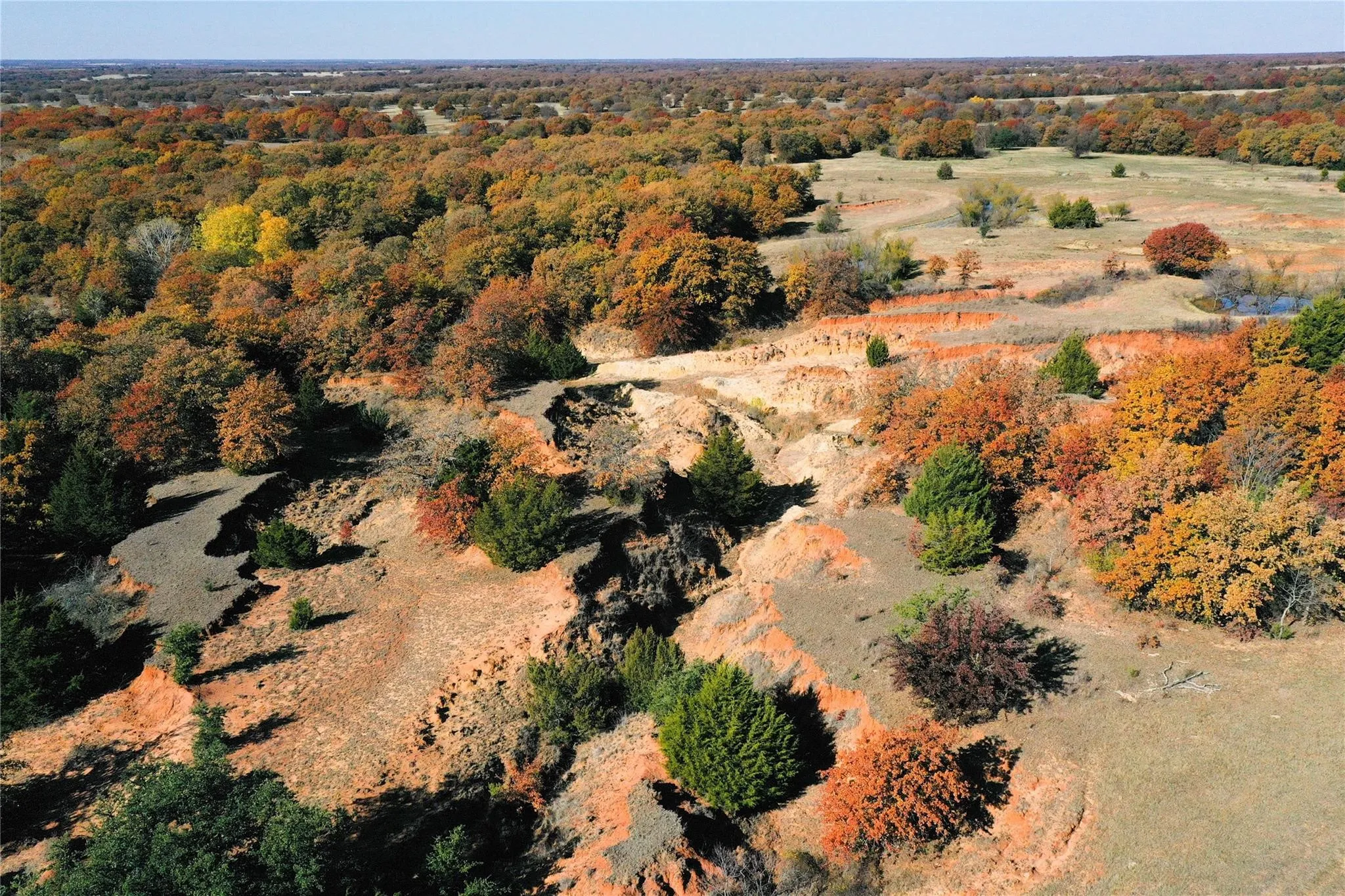Farm For Sale in Montague County , 868 Nored Road, Forestburg, Texas 76239, 3 Bedroom, 2 Bathroom, 2 Garage spaces, 2,355 Sqft, built in 1993, Price $2,800,000, mls#21353776, Real Estate Agent in Forestburg, Homes For Sale in Montague county, Homes For Sale in Forestburg, Realtor in Forestburg Texas, Real Estate Brokerage Independent Realty Texas, Luminita Cordes Realtor