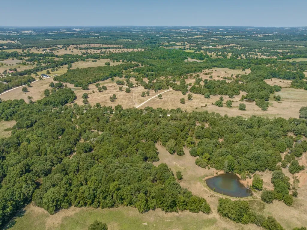 Farm For Sale in Montague County , 868 Nored Road, Forestburg, Texas 76239, 3 Bedroom, 2 Bathroom, 2 Garage spaces, 2,355 Sqft, built in 1993, mls#21353776, Real Estate Agent in Forestburg, Homes For Sale in Montague county, Homes For Sale in Forestburg, Realtor in Forestburg Texas, Real Estate Brokerage Independent Realty Texas, Luminita Cordes Realtor