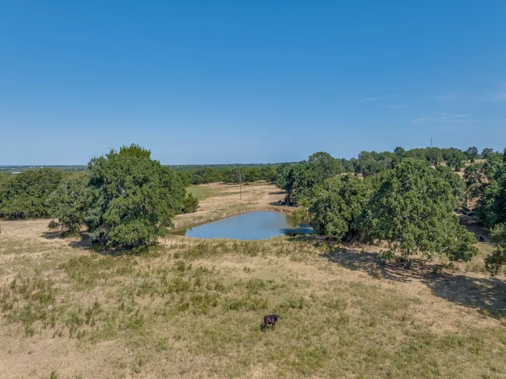 Farm For Sale in Montague County , 868 Nored Road, Forestburg, Texas 76239, 3 Bedroom, 2 Bathroom, 2 Garage spaces, 2,355 Sqft, built in 1993, Price $2,800,000, mls#21353776, Real Estate Agent in Forestburg, Homes For Sale in Montague county, Homes For Sale in Forestburg, Realtor in Forestburg Texas, Real Estate Brokerage Independent Realty Texas, Luminita Cordes Realtor