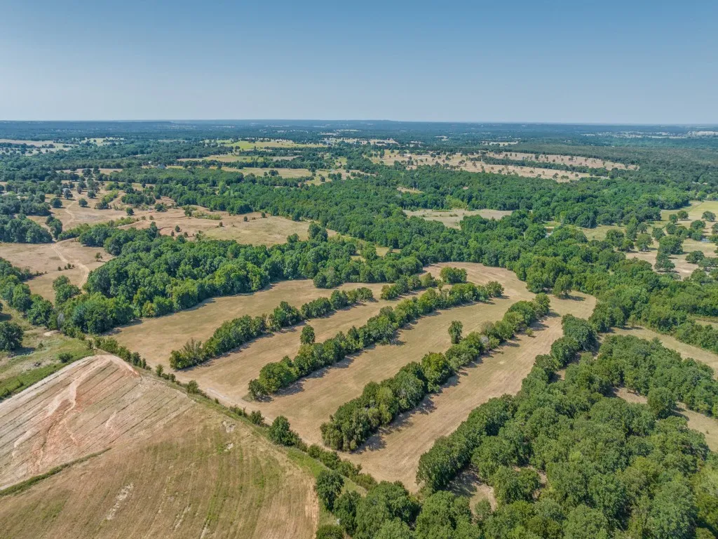 Farm For Sale in Montague County , 868 Nored Road, Forestburg, Texas 76239, 3 Bedroom, 2 Bathroom, 2 Garage spaces, 2,355 Sqft, built in 1993, Price $2,800,000, mls#21353776, Real Estate Agent in Forestburg, Homes For Sale in Montague county, Homes For Sale in Forestburg, Realtor in Forestburg Texas, Real Estate Brokerage Independent Realty Texas, Luminita Cordes Realtor