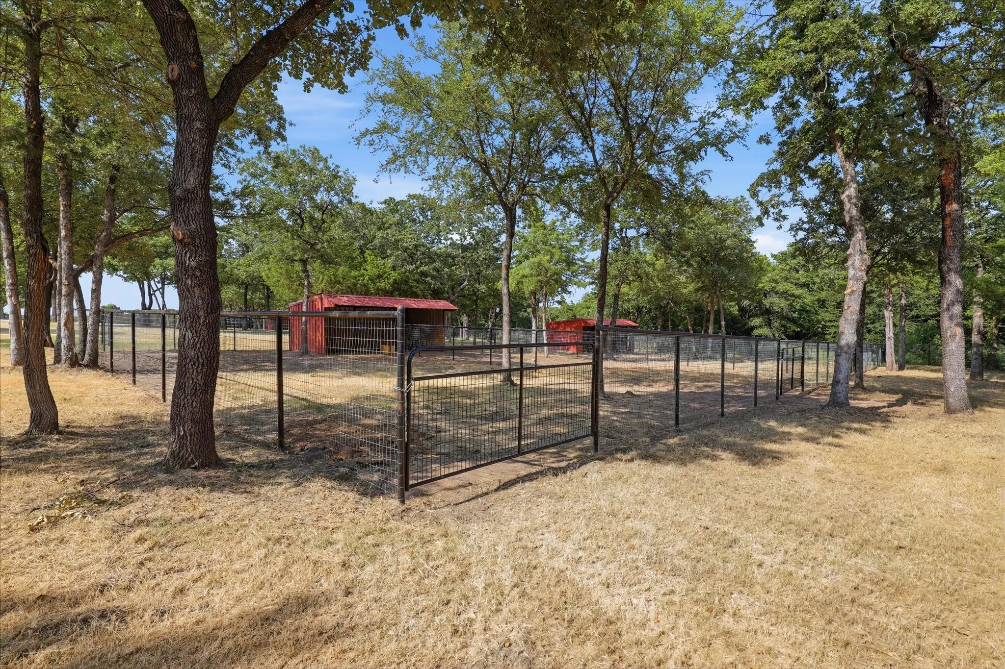 Single Family Residence For Sale in Cooke County , 12 County Road 2114, Gainesville, Texas 76240, 3 Bedroom, 2 Bathroom, 1 Garage spaces, 1,917 Sqft, built in 1989, Price $999,000, mls#21352810, Real Estate Agent in Gainesville, Homes For Sale in Cooke county, Homes For Sale in Gainesville, Realtor in Gainesville Texas, Real Estate Brokerage Independent Realty Texas, Luminita Cordes Realtor